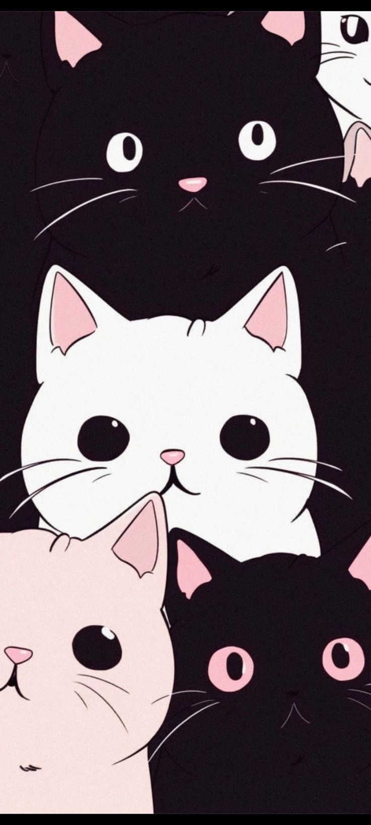666. Cat phone wallpaper, iPhone wallpaper cat, Cute cat