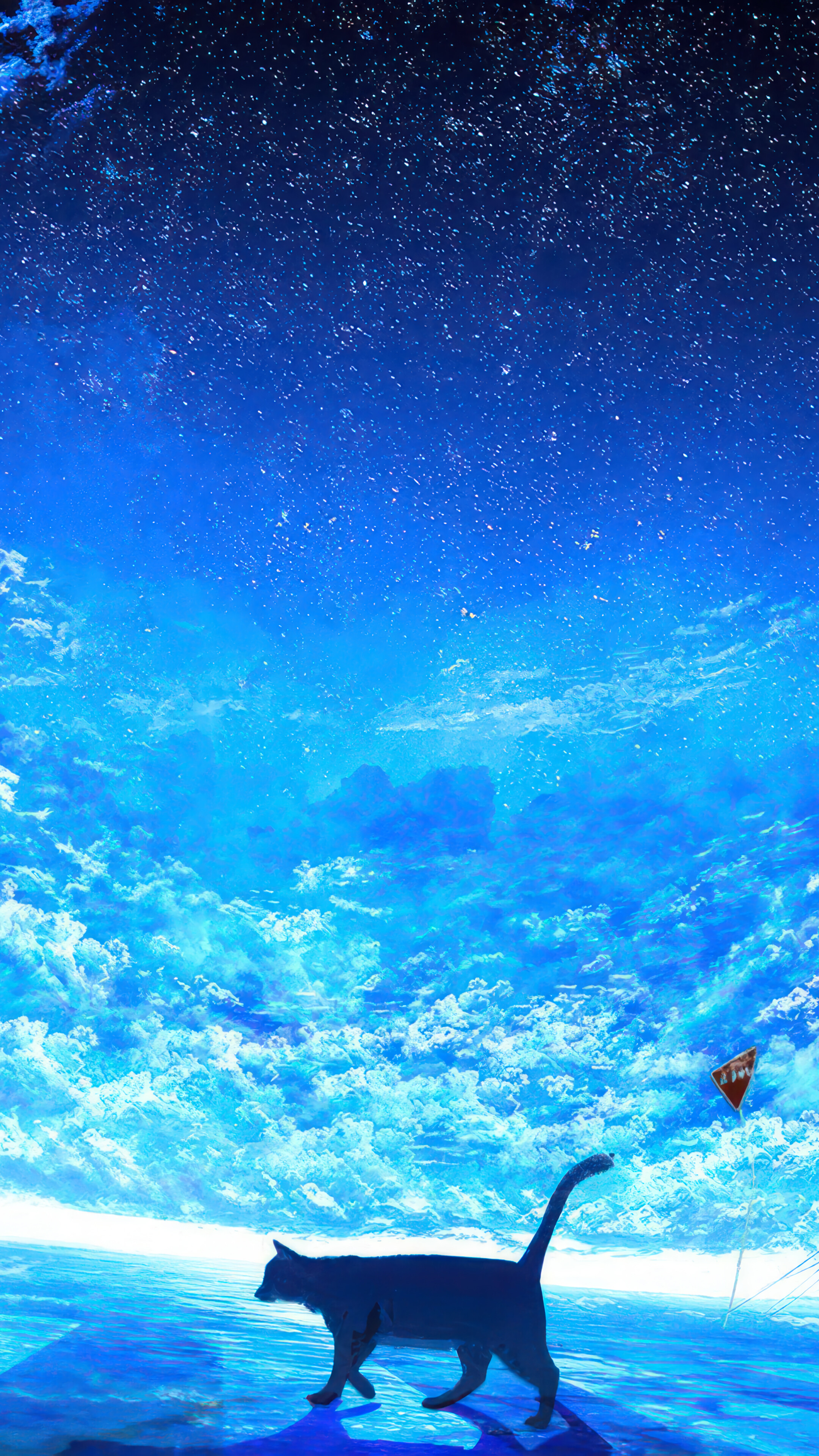 Anime Girl Cat Night Stars Sky Clouds 4K Wallpaper iPhone HD Phone k