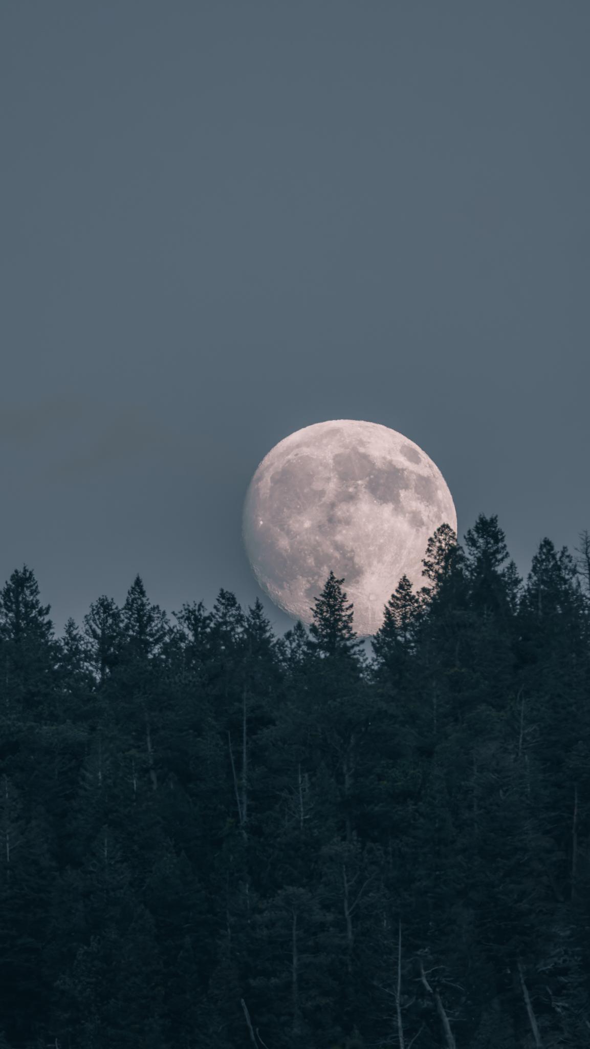 Made a couple phone wallpaper out of tonight's moon