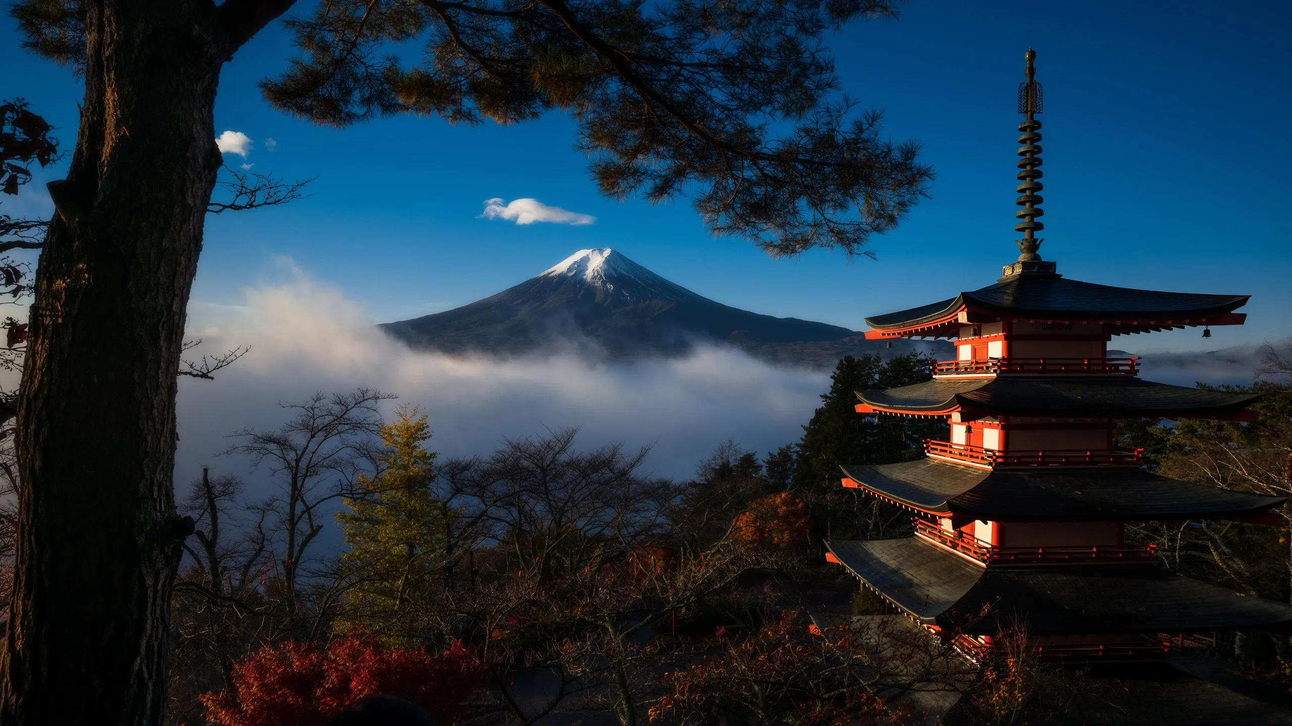 Mount Fuji Japan Tokyo HD Travel Wallpaper