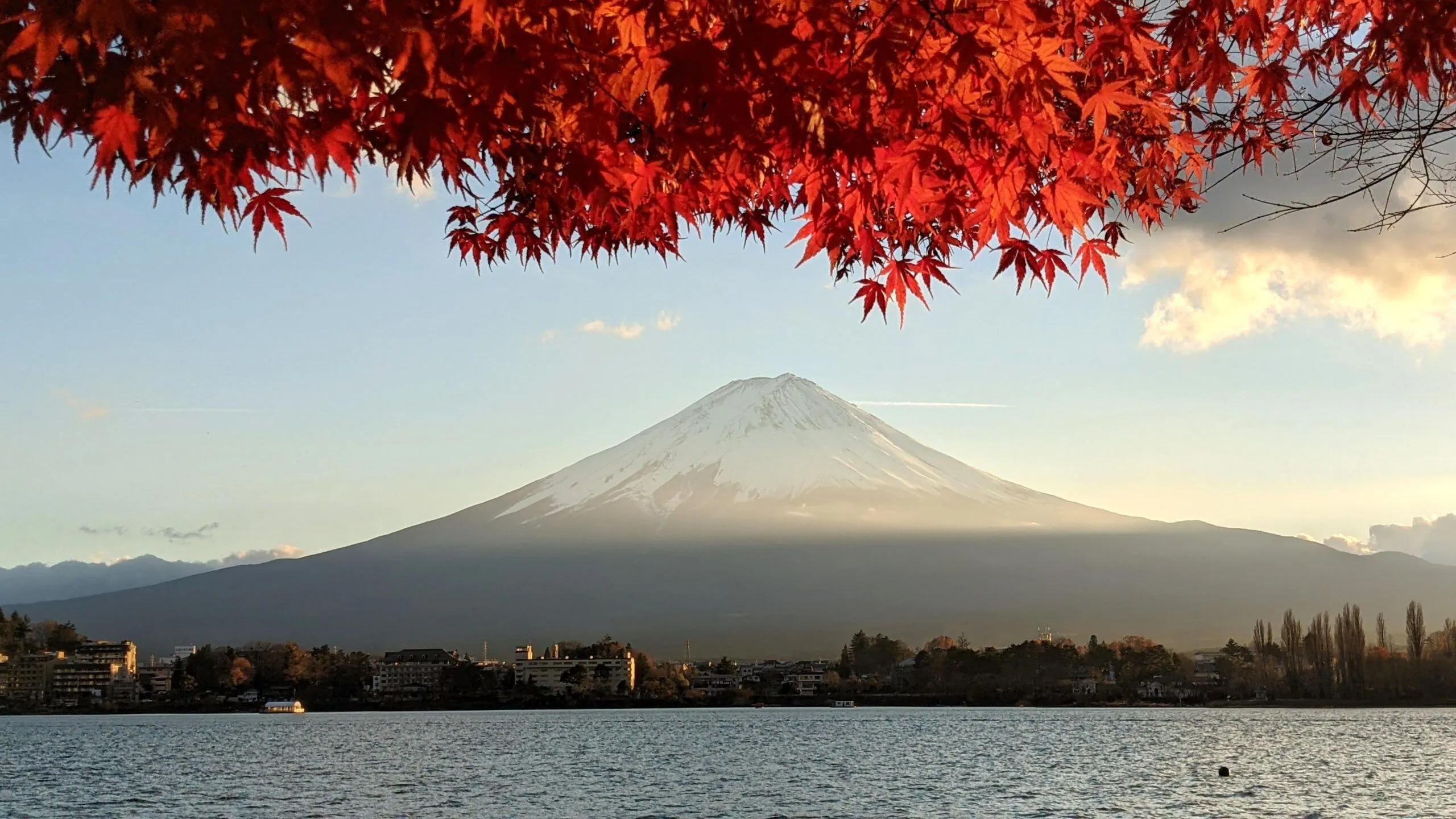 Day Private Tour to Mt. Fuji from Tokyo