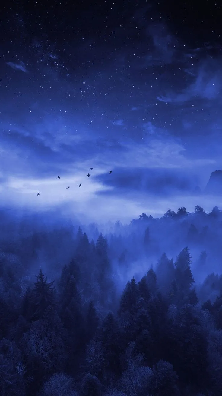 Wallpaper starry sky, forest, fog, stars, night, dark, Space 4K by Svetlanatea. Download wallpaper starry sky, forest, fog, stars, night, dark for free
