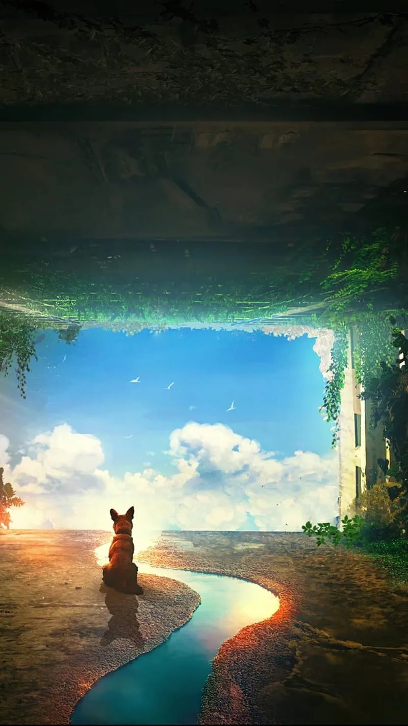 Fox, cinematic, tower, HD phone wallpaper
