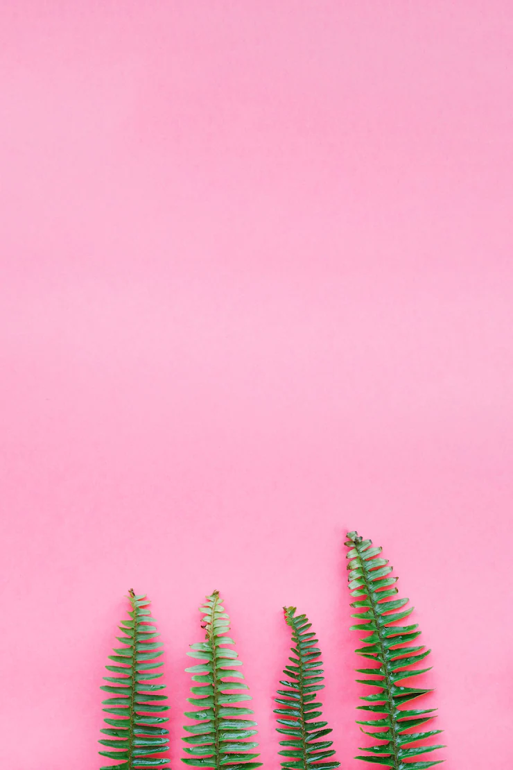 Vibrant pink phone wallpaper Image