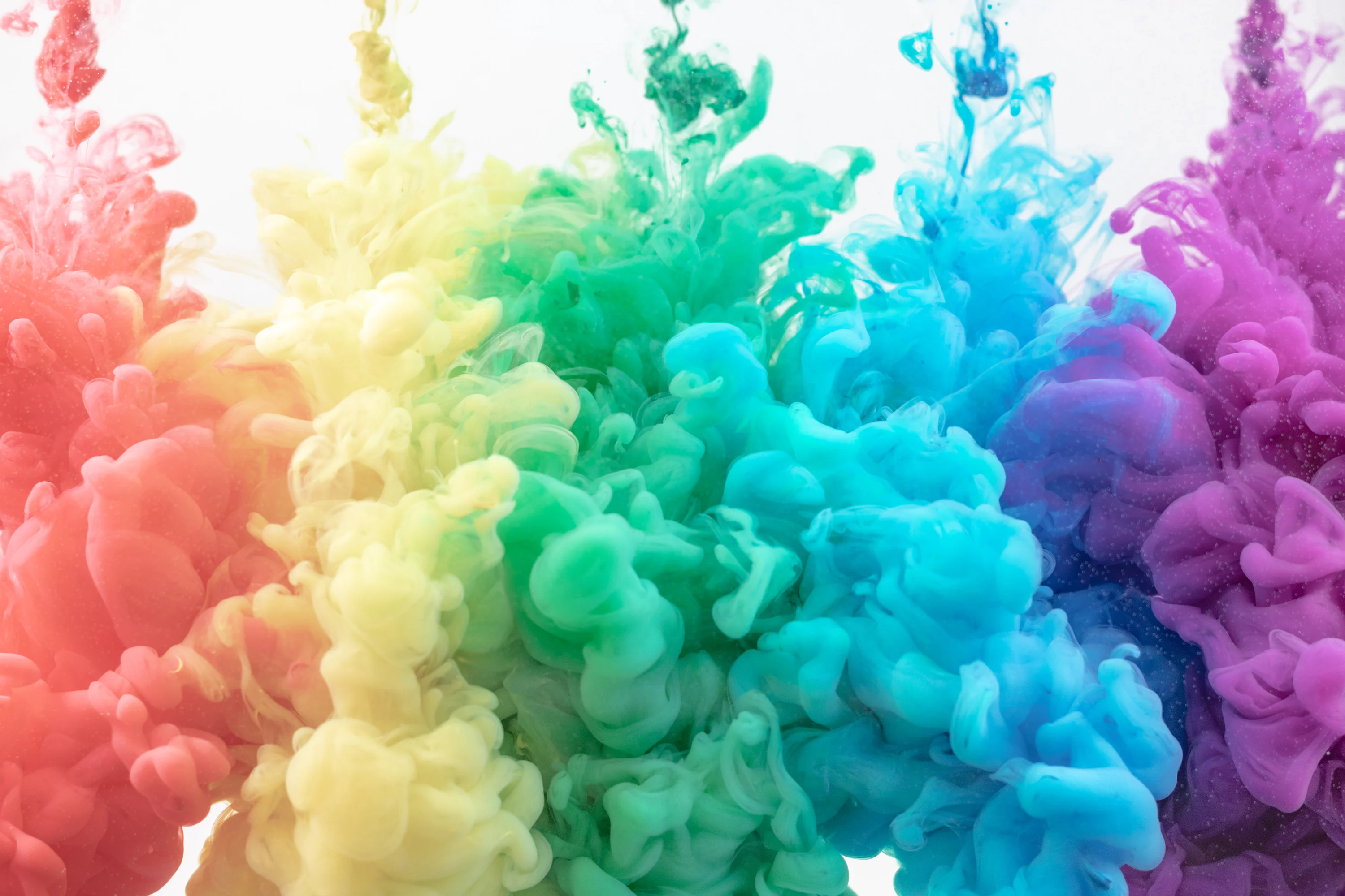 Color Splash Picture. Download Free Image