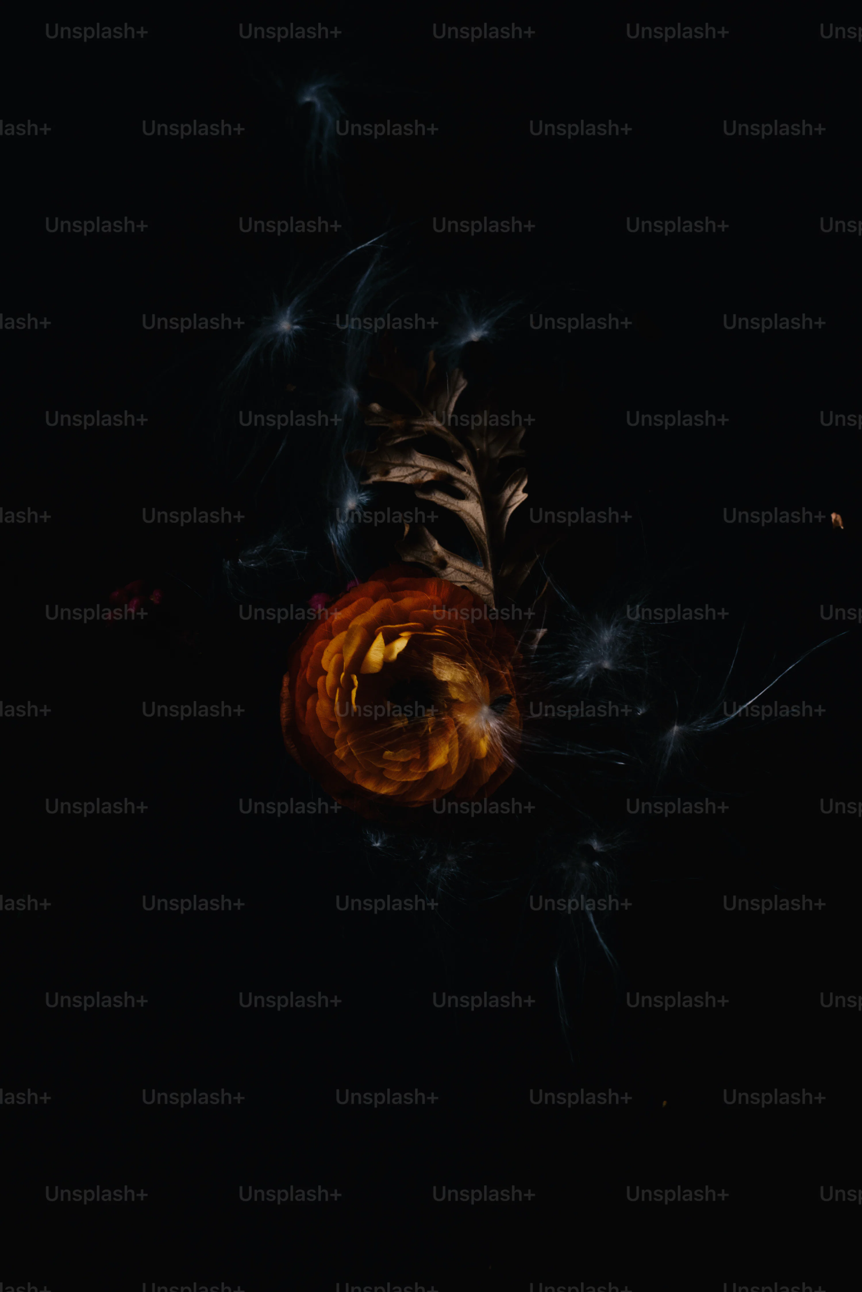 Sauron Picture. Download Free Image