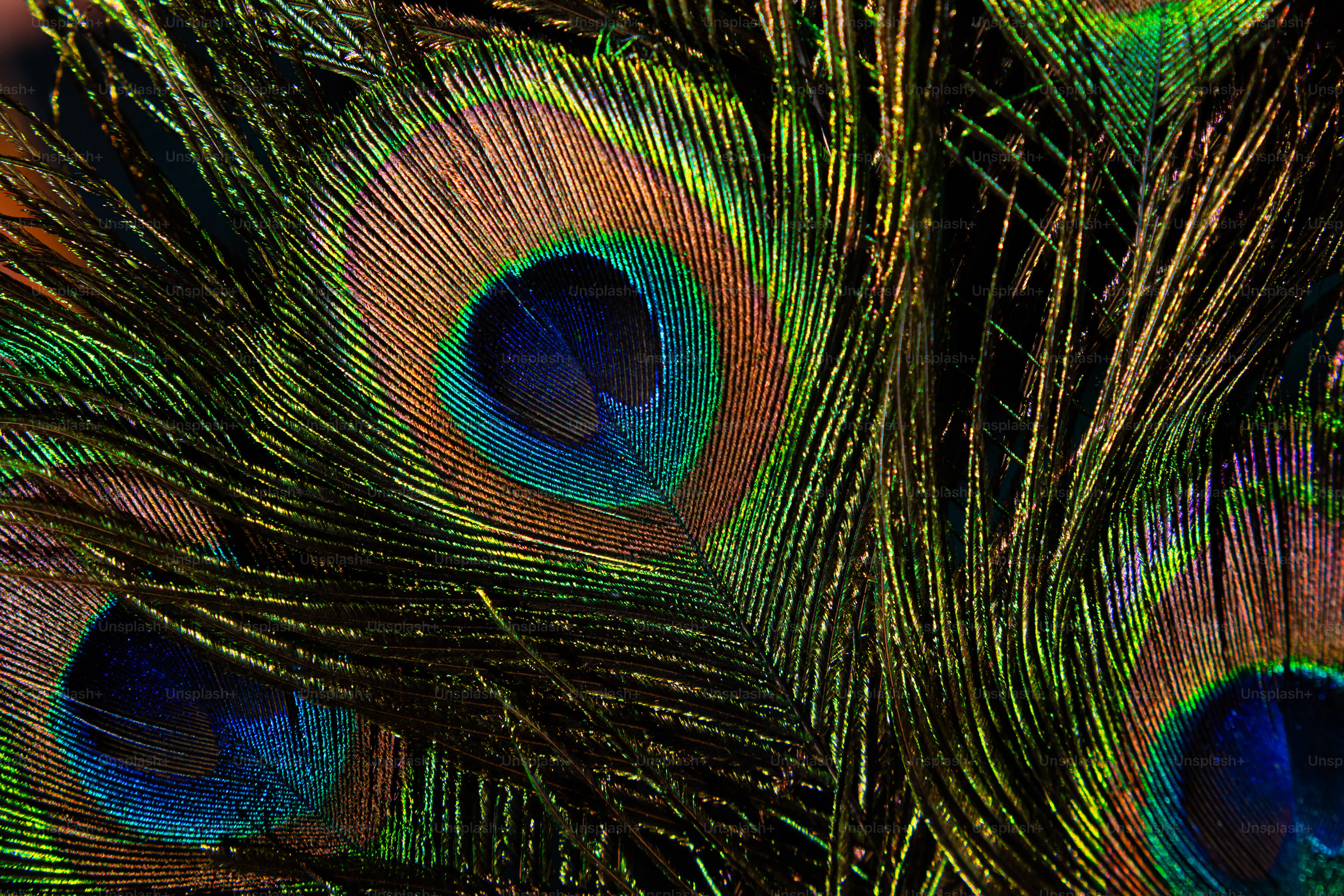 Krishna Picture [HD]. Download Free Image