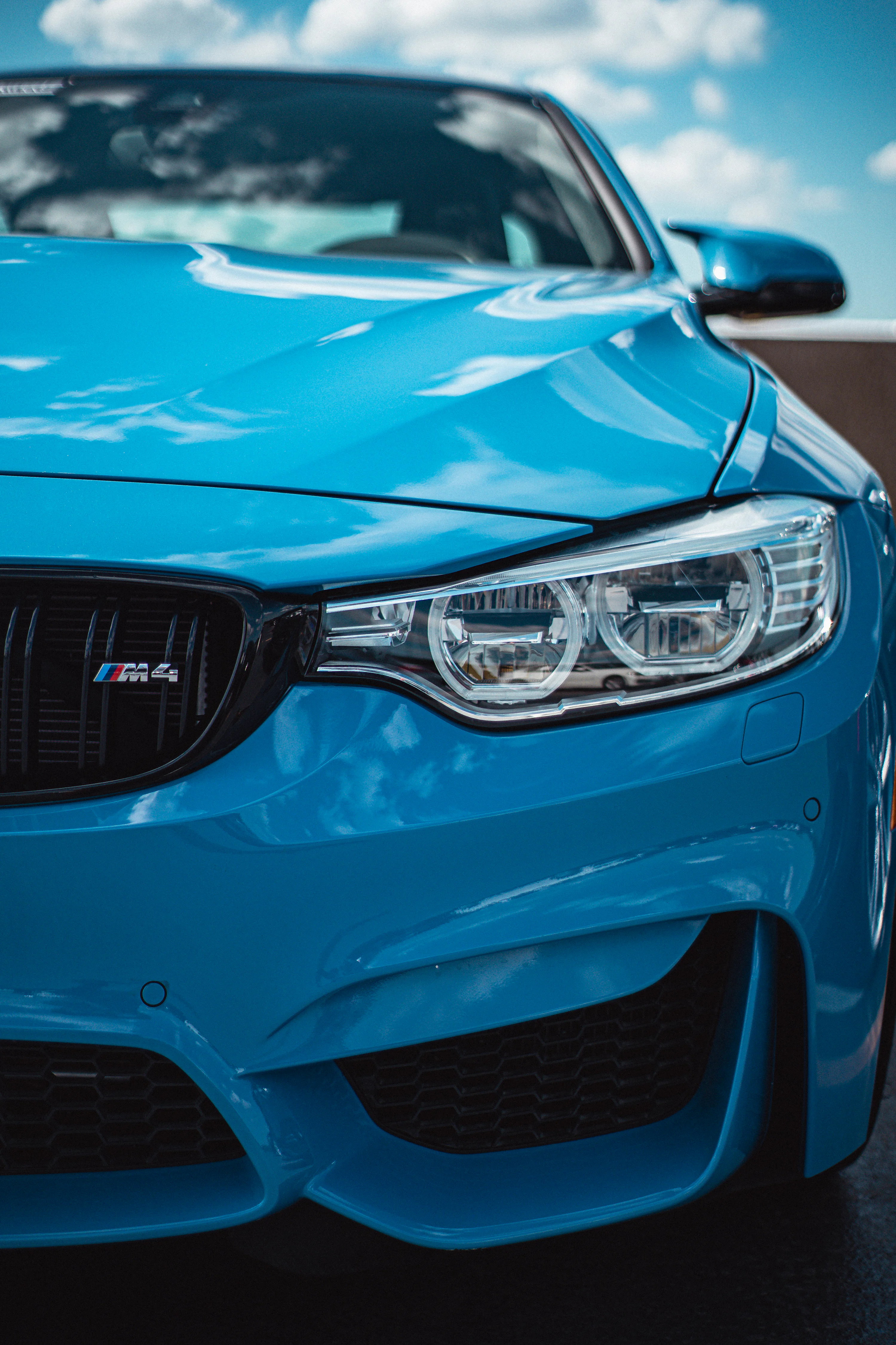 Blue car with white and black license plate photo
