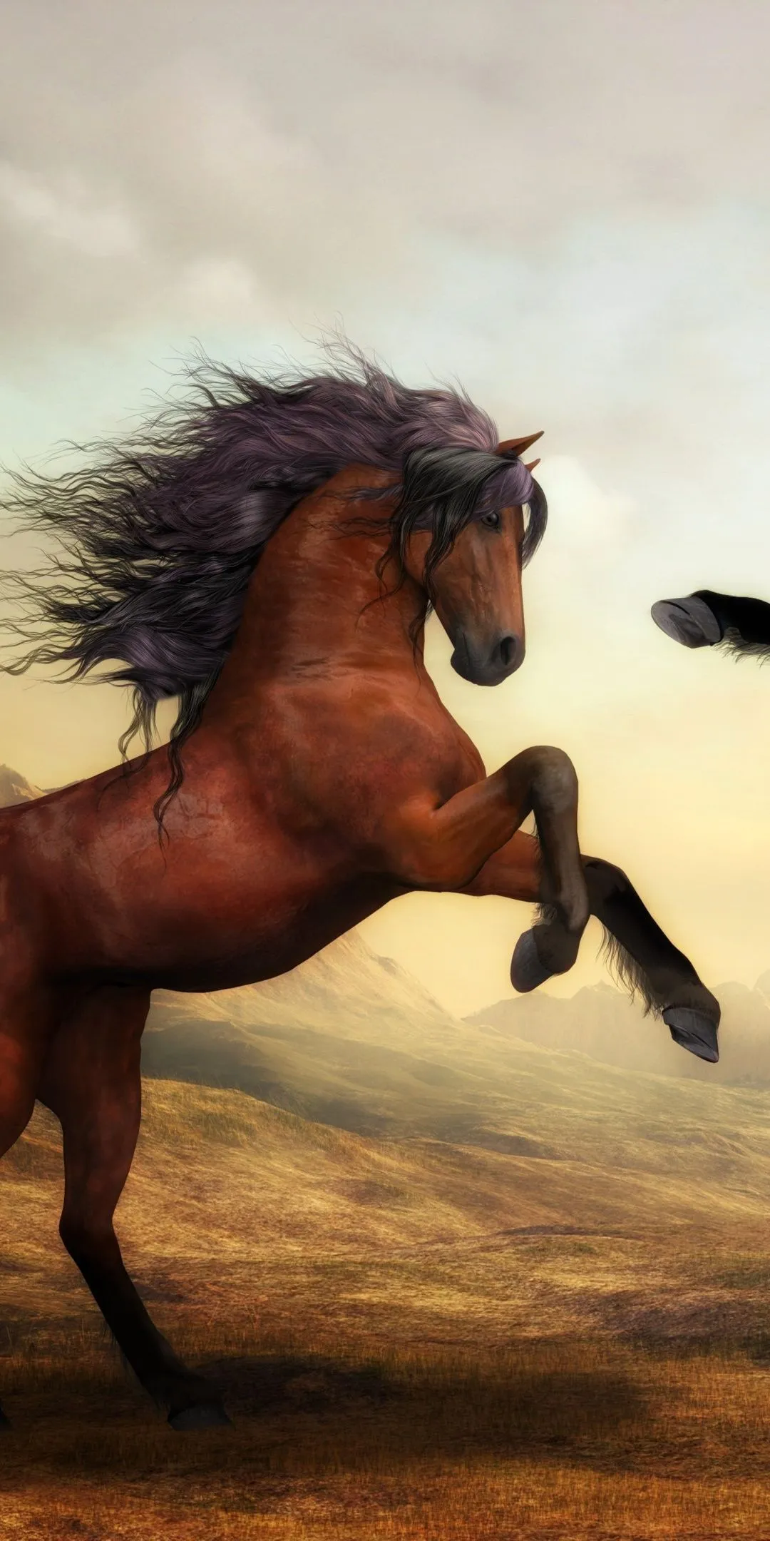 Wild Horses Wallpaper 4K, Pair, Brown Horses, Stallion