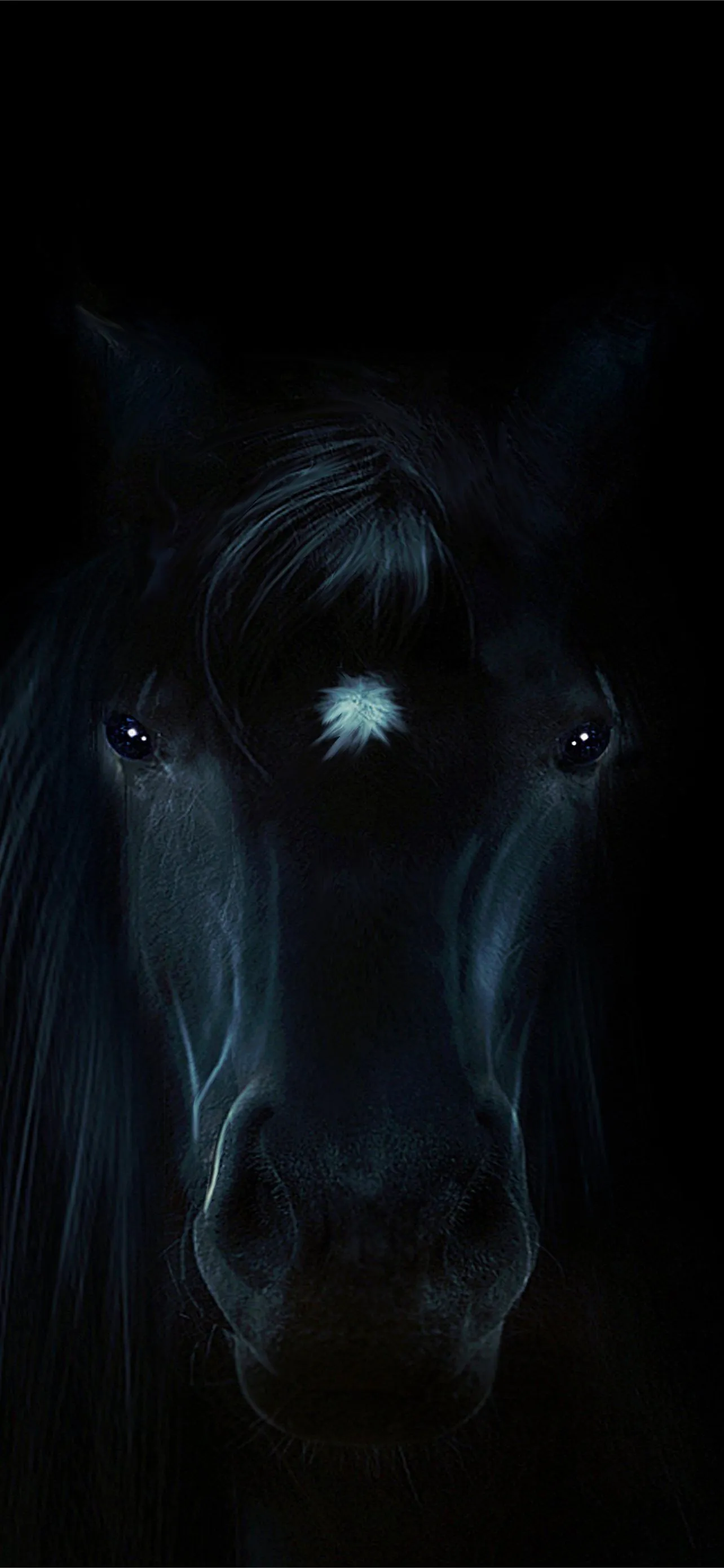 horsea HD iPhone Wallpaper Free Download