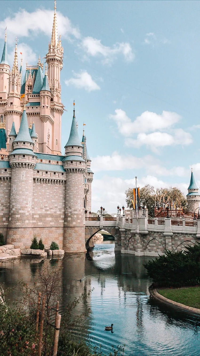 Disney's Magic Kingdom. Disney, Disney aesthetic, Disney phone, Magical Disney HD phone wallpaper