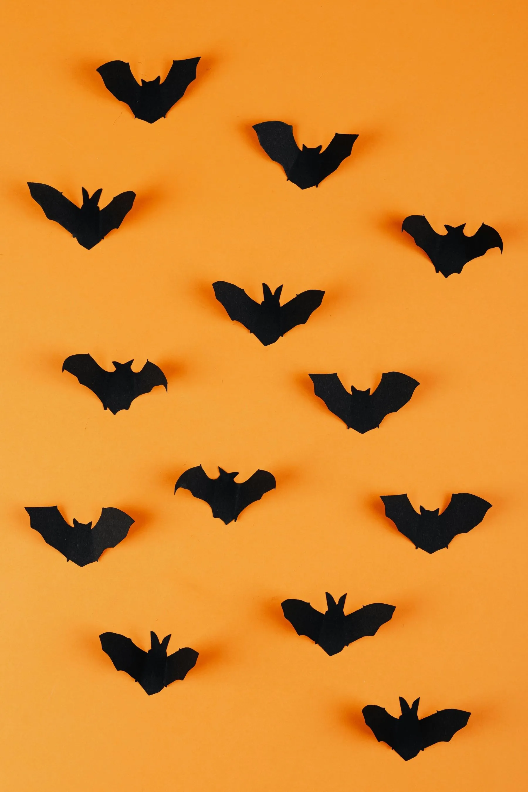 Seasonal Halloween Bats Orange BG