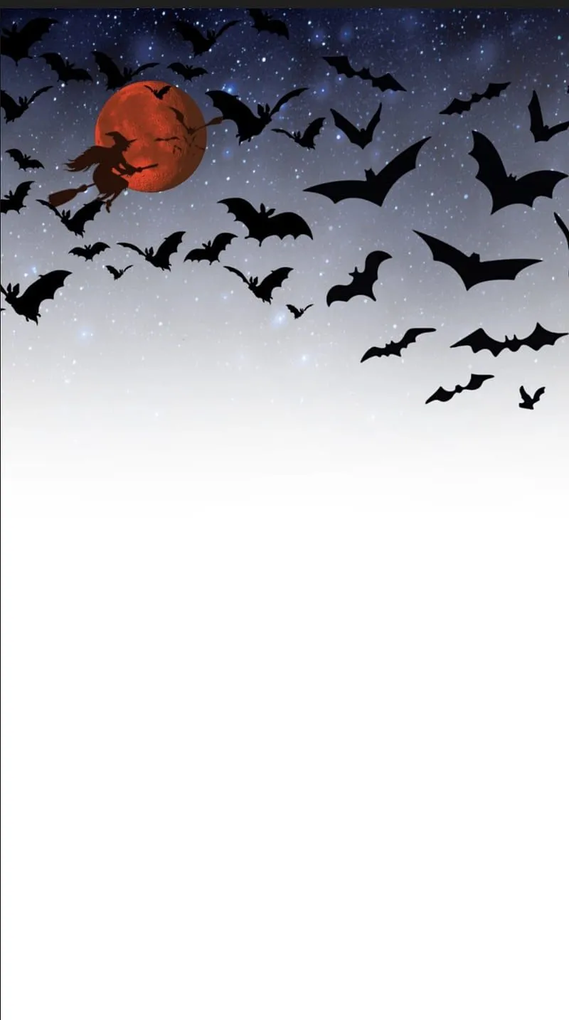 Fly Witches, bats, flowers, moon, natural, orange, white, winter, HD phone wallpaper