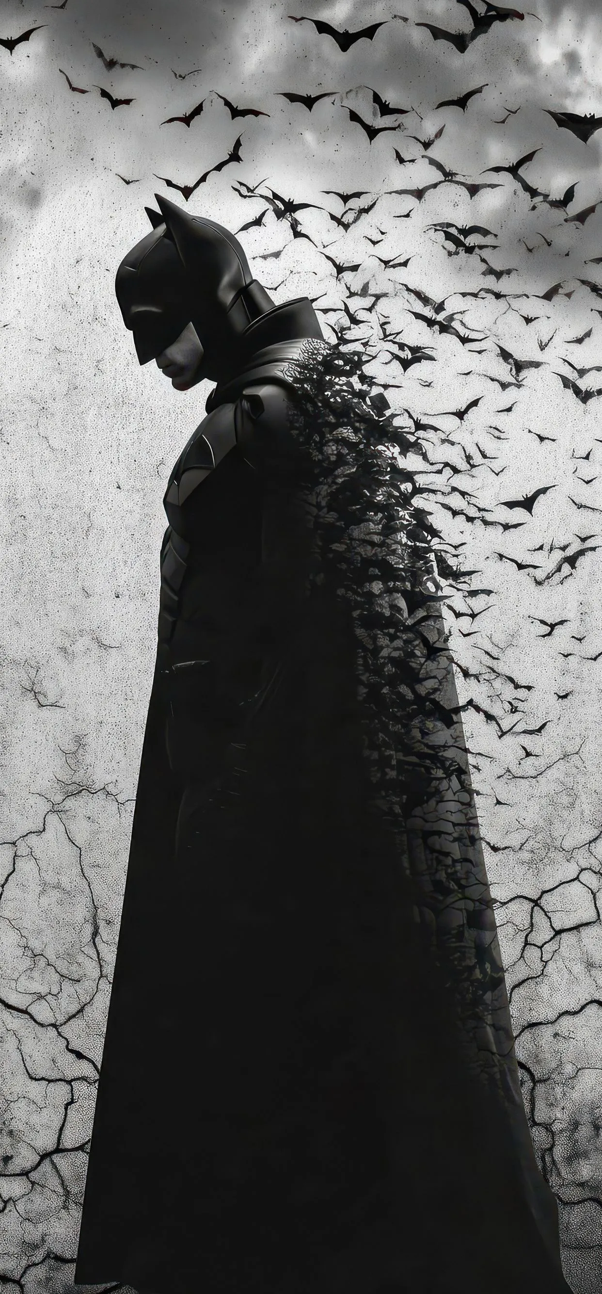 The Batman And His Bats Army iPhone XS MAX , HD 4k Wallpaper Image, Background, Photos and Picture