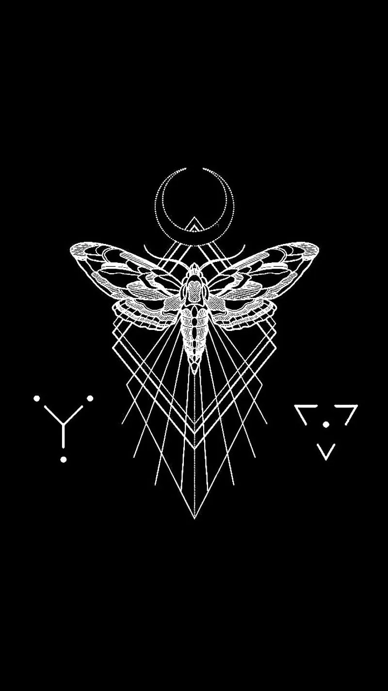 Death moth, goth, horror, creepy, dark, HD phone wallpaper