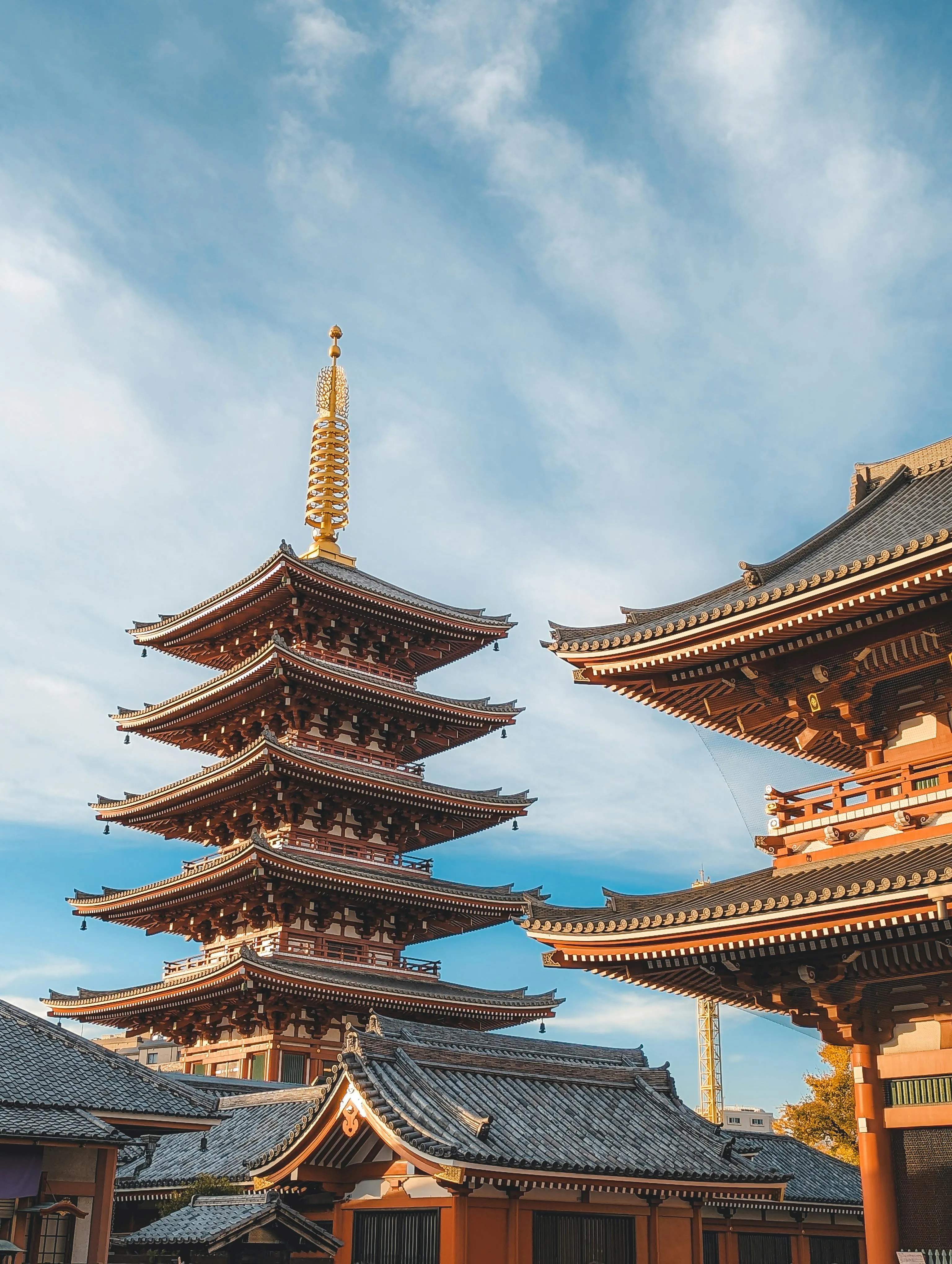Vertical Wallpaper Japan Photo, Download The BEST Free Vertical Wallpaper Japan & HD Image