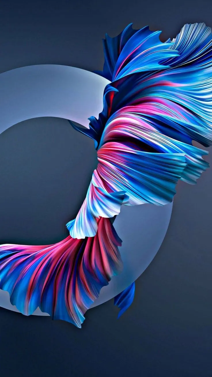 4k Ultra HD Wallpaper