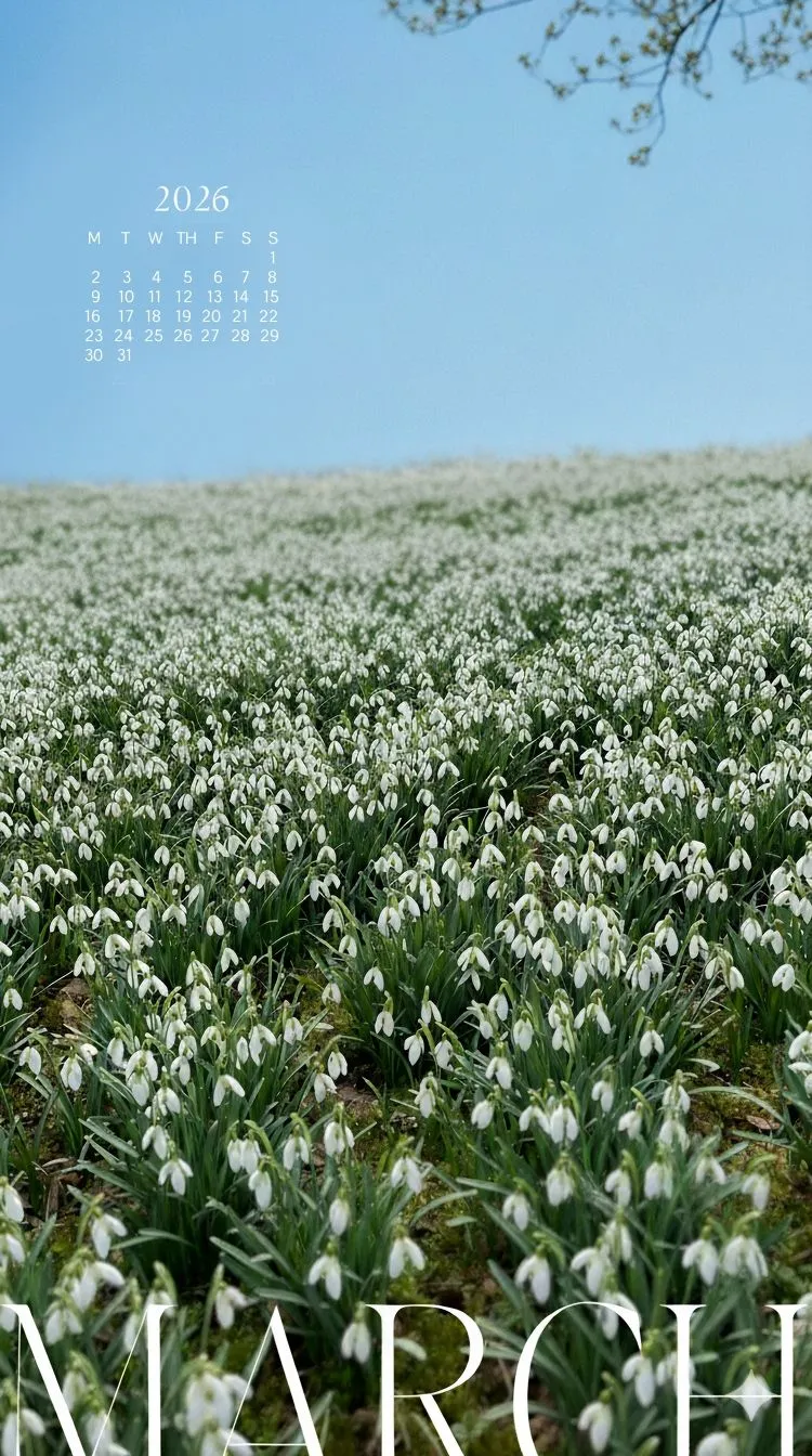 March 2026 Calendar iPhone Wallpaper