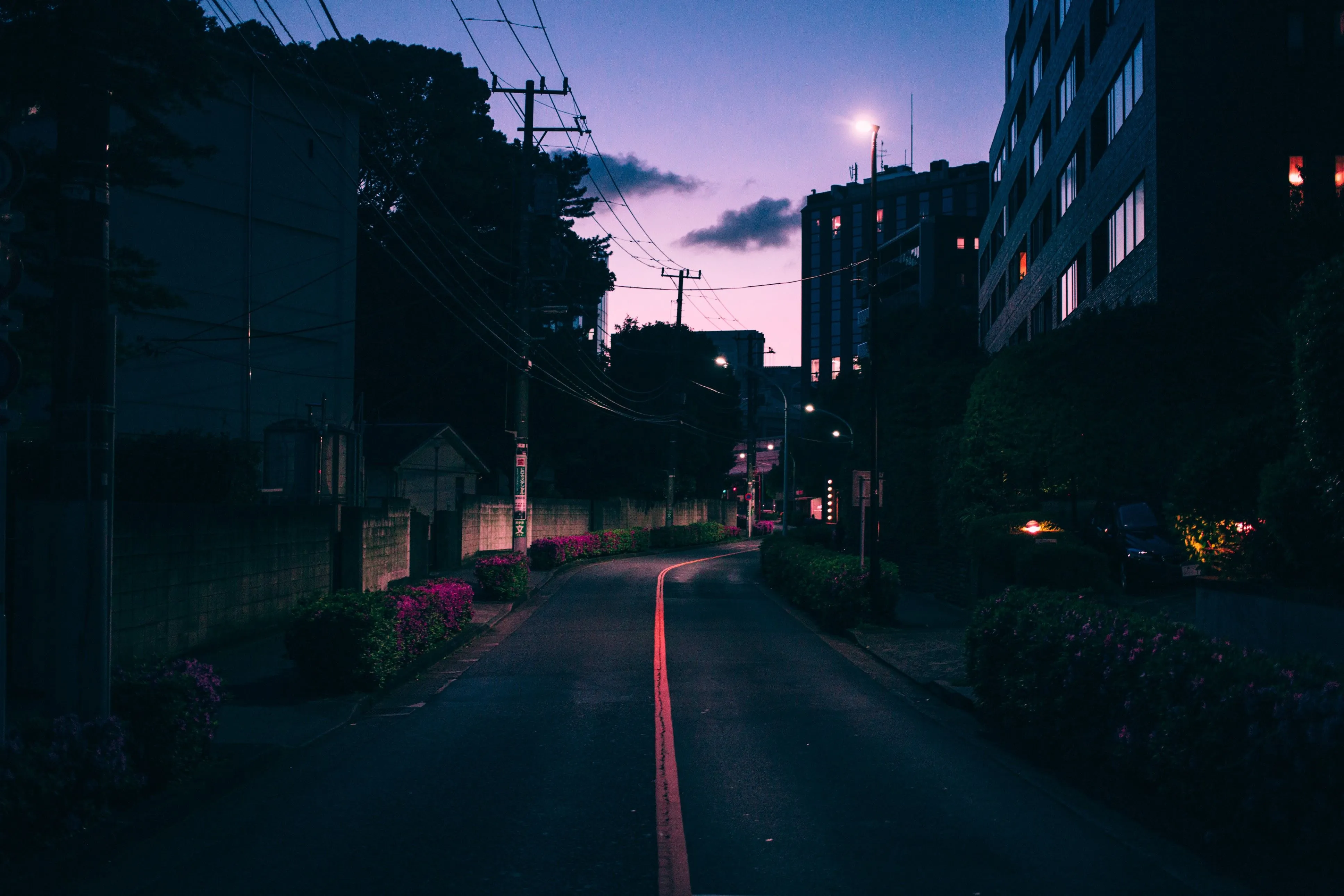 4K, City, Street, Asia, Dark, Urban, Japan, Skyline, HD Wallpaper