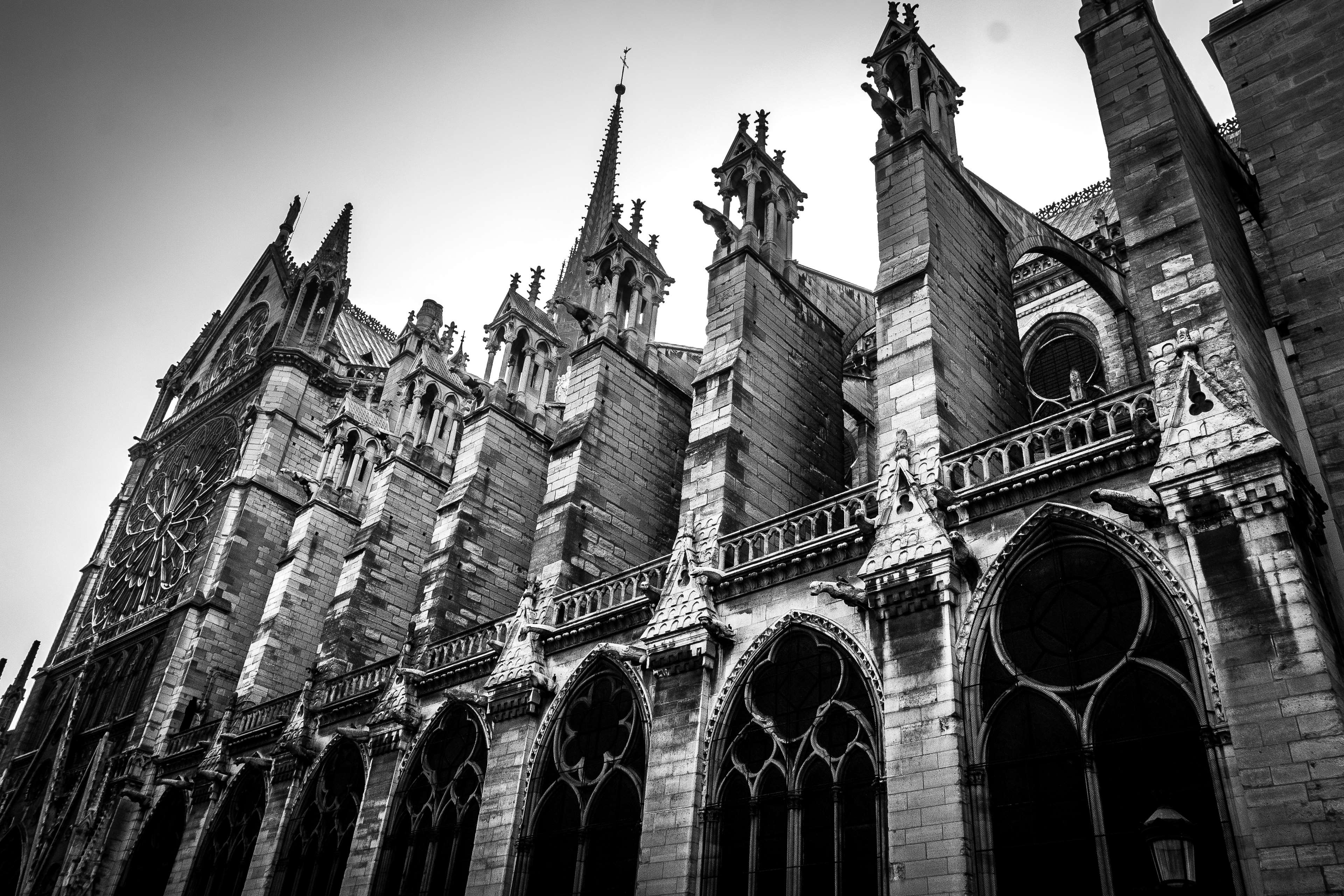 Architect, Black And White, Church, Facade, France, Gothic, Notre Dame De Paris, Paris, Stone 4K, HD Wallpaper