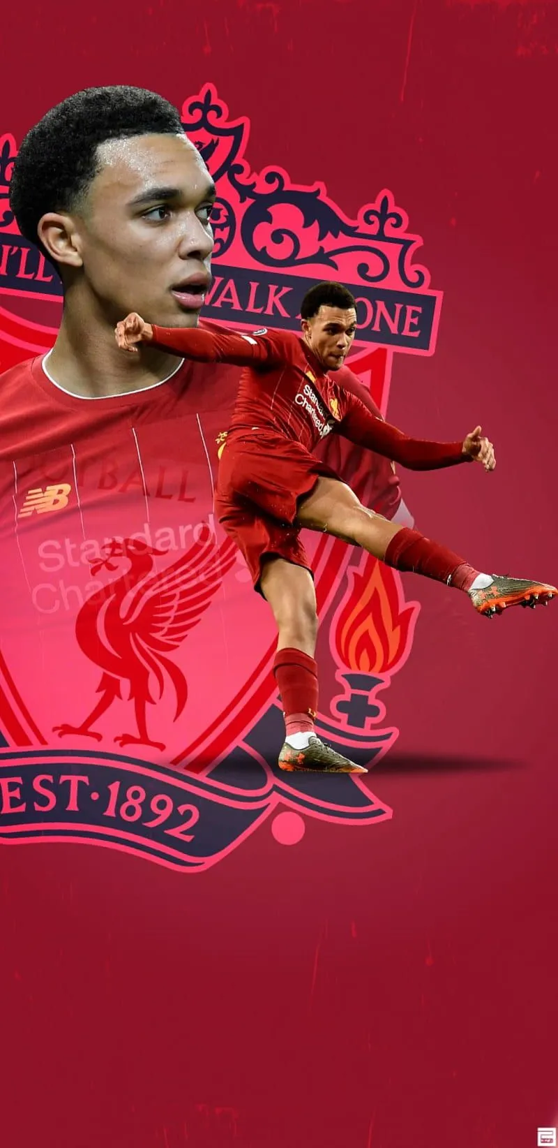 Alexander Arnold, Alexander Arnold, England, Liverpool, Trent, HD Phone Wallpaper