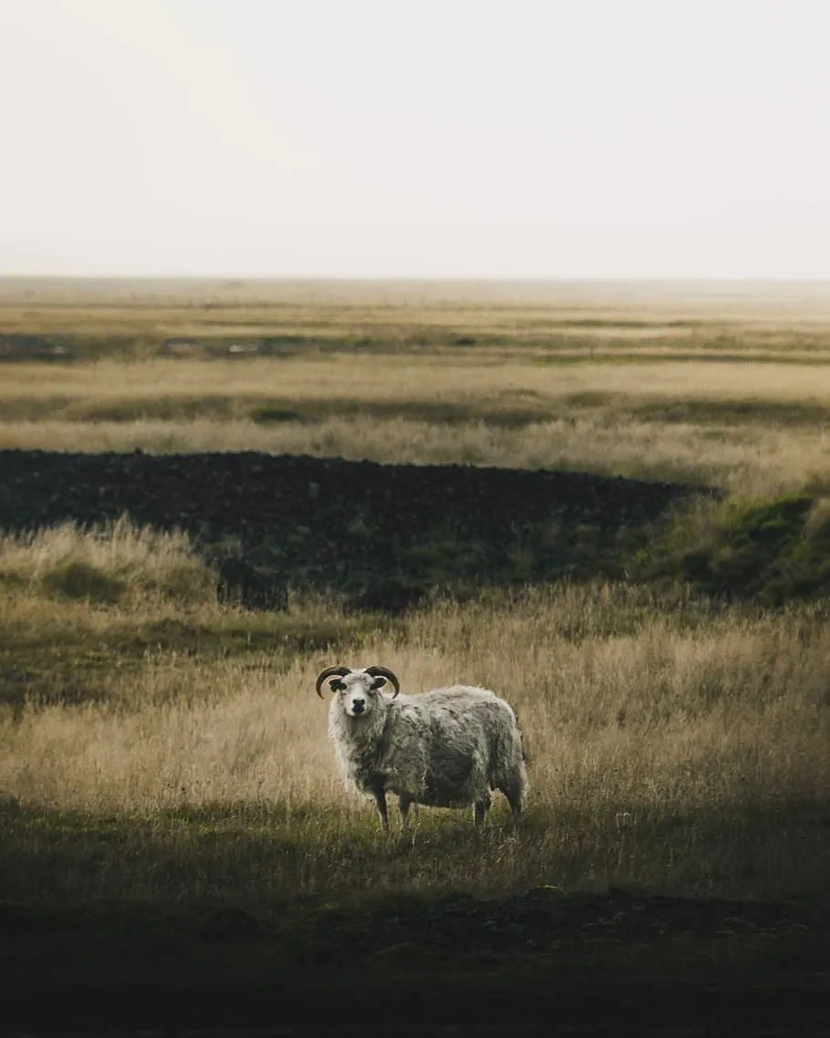 Farmlife 1080P, 2K, 4K, 5K HD wallpaper free download