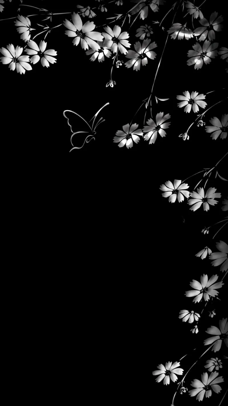HD white black flower wallpaper