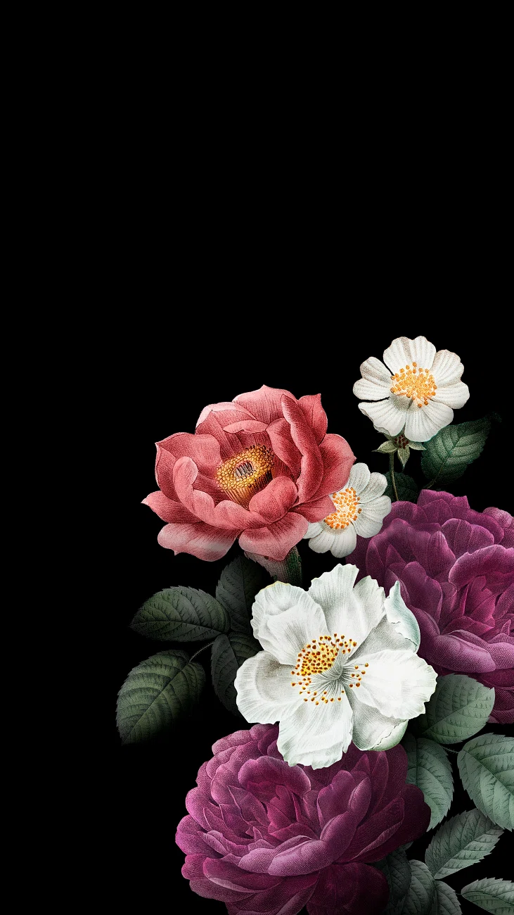 Vintage flower black iPhone wallpaper. Premium Photo Illustration
