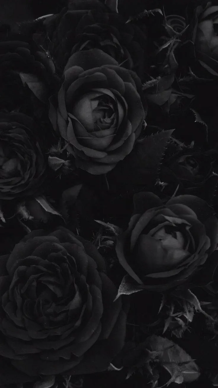 Download Gothic Flower Black Rose iPhone Wallpaper