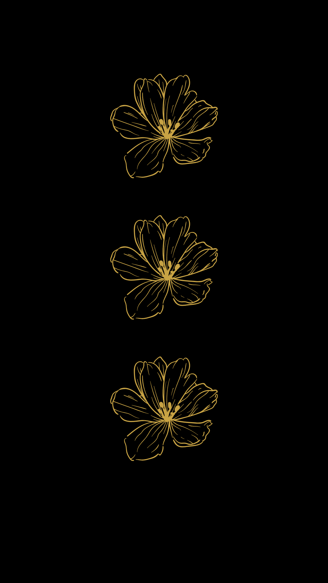 Minimalist Black and Gold Flower Home and Lock screen Wallpaper