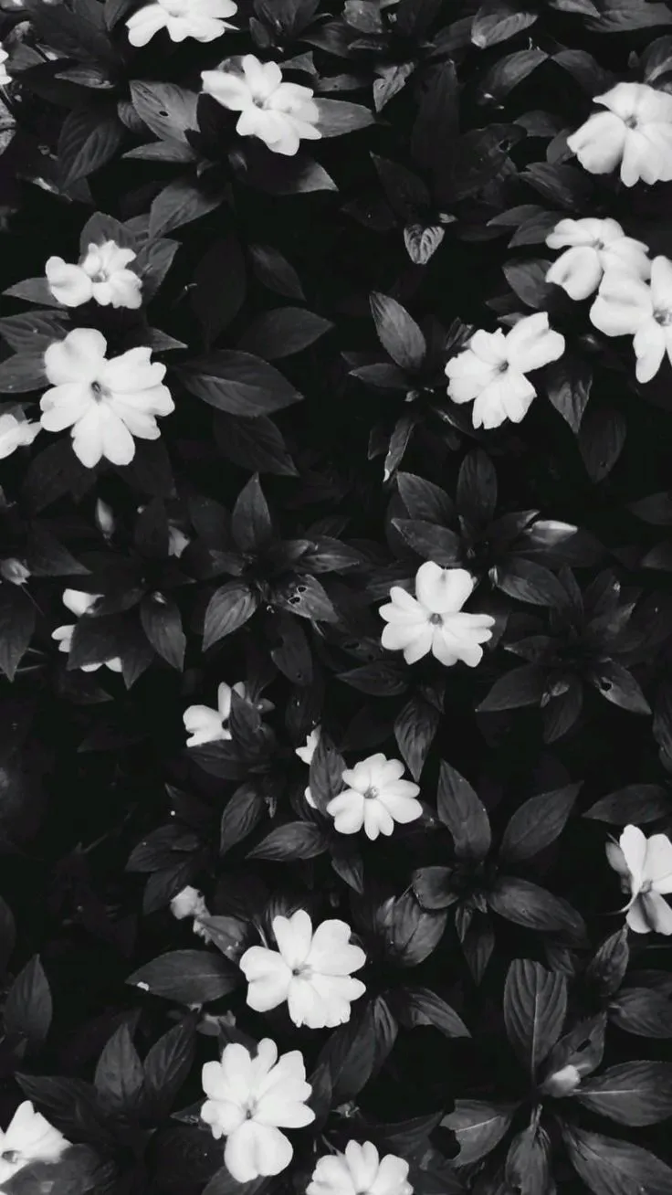 Black and White Mobile Wallpaper with Flowers, Clock, and Spices. Black and white wallpaper iphone, Black flowers wallpaper, Black and white picture wall