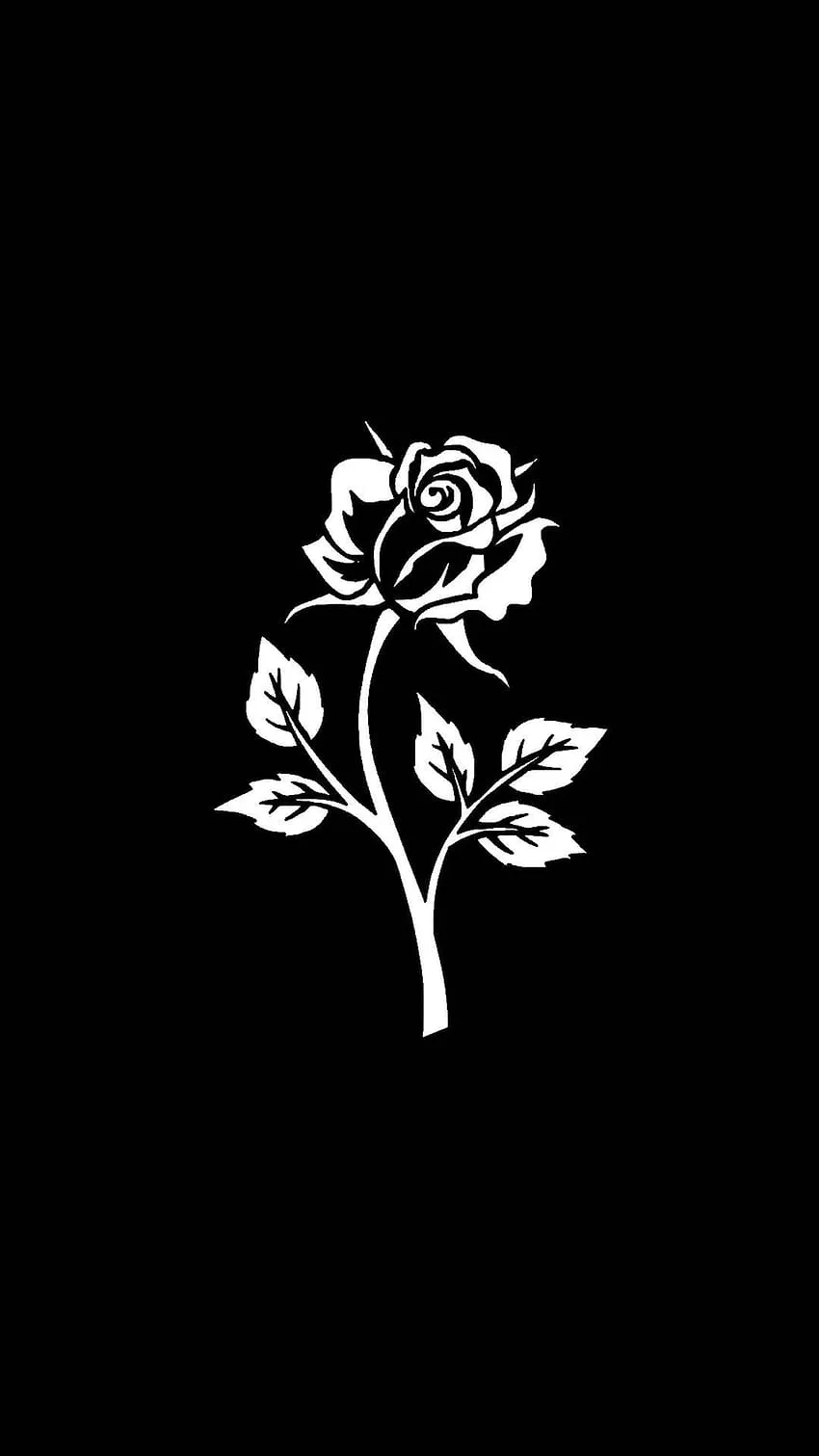 Black on phone with white rose. Black background, Black and white flowers, Black aesthetic, Black and White Roses iPhone HD phone wallpaper