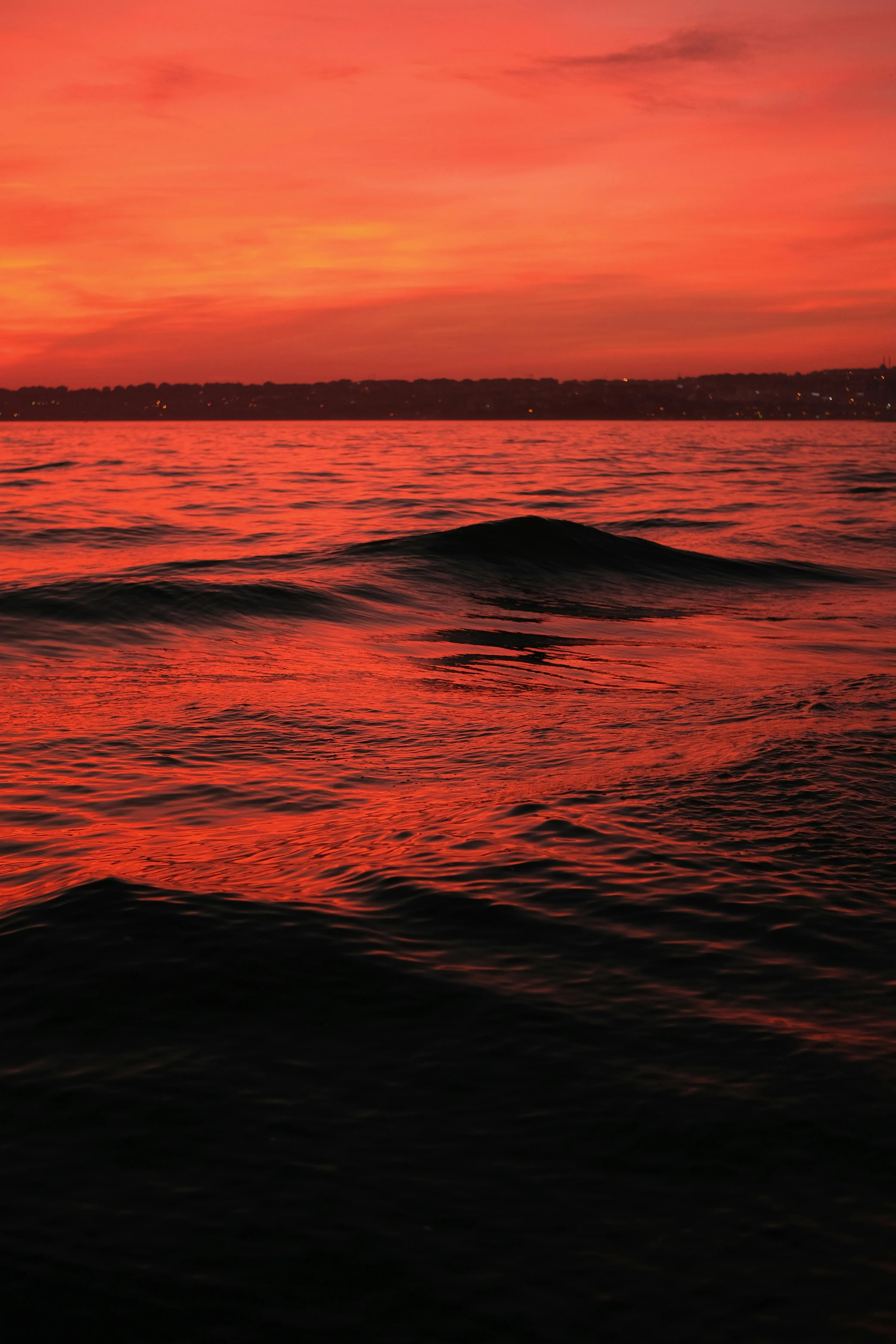 Red Sky over Sea Shore · Free