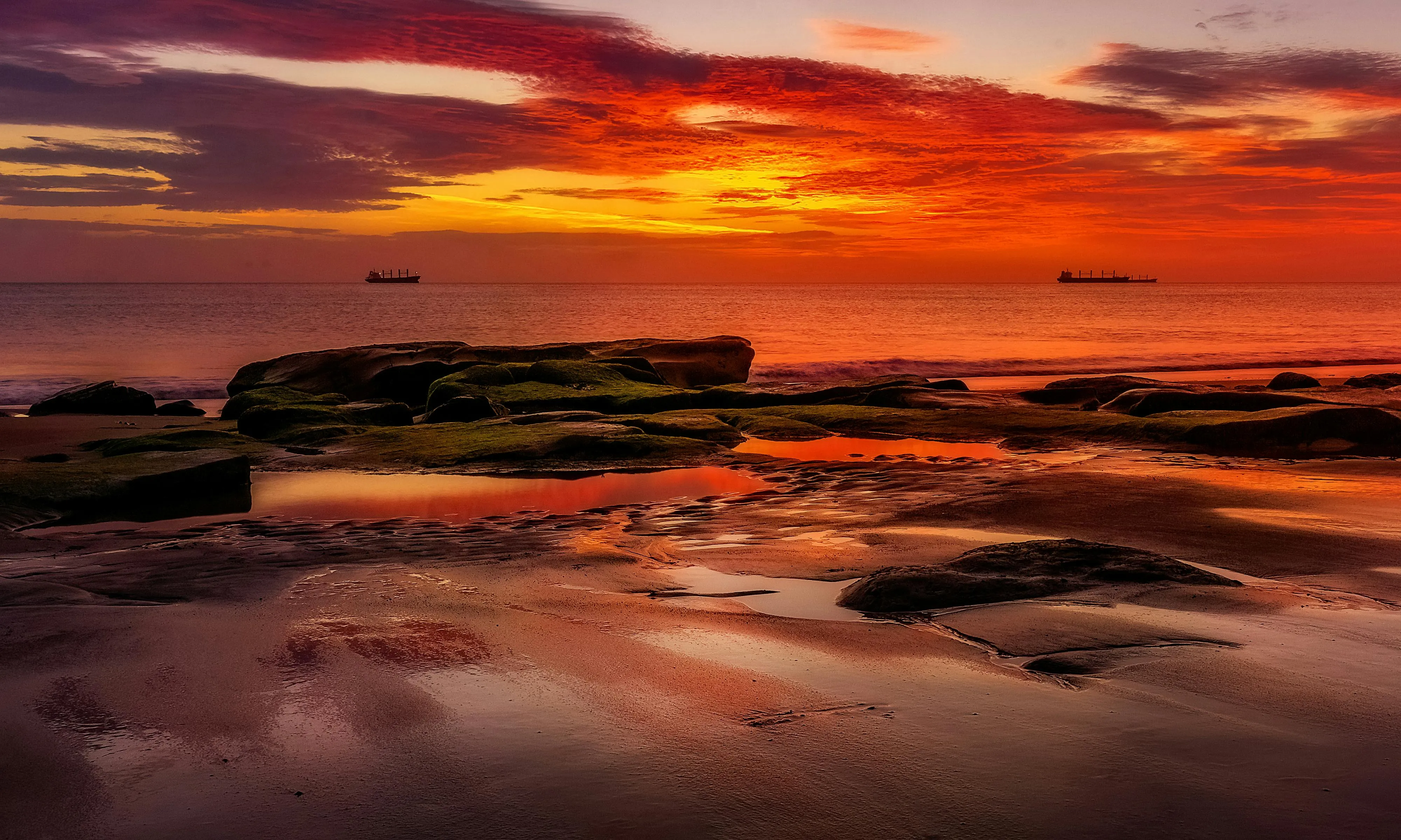 Red Sky over Sea Shore at Sunset · Free