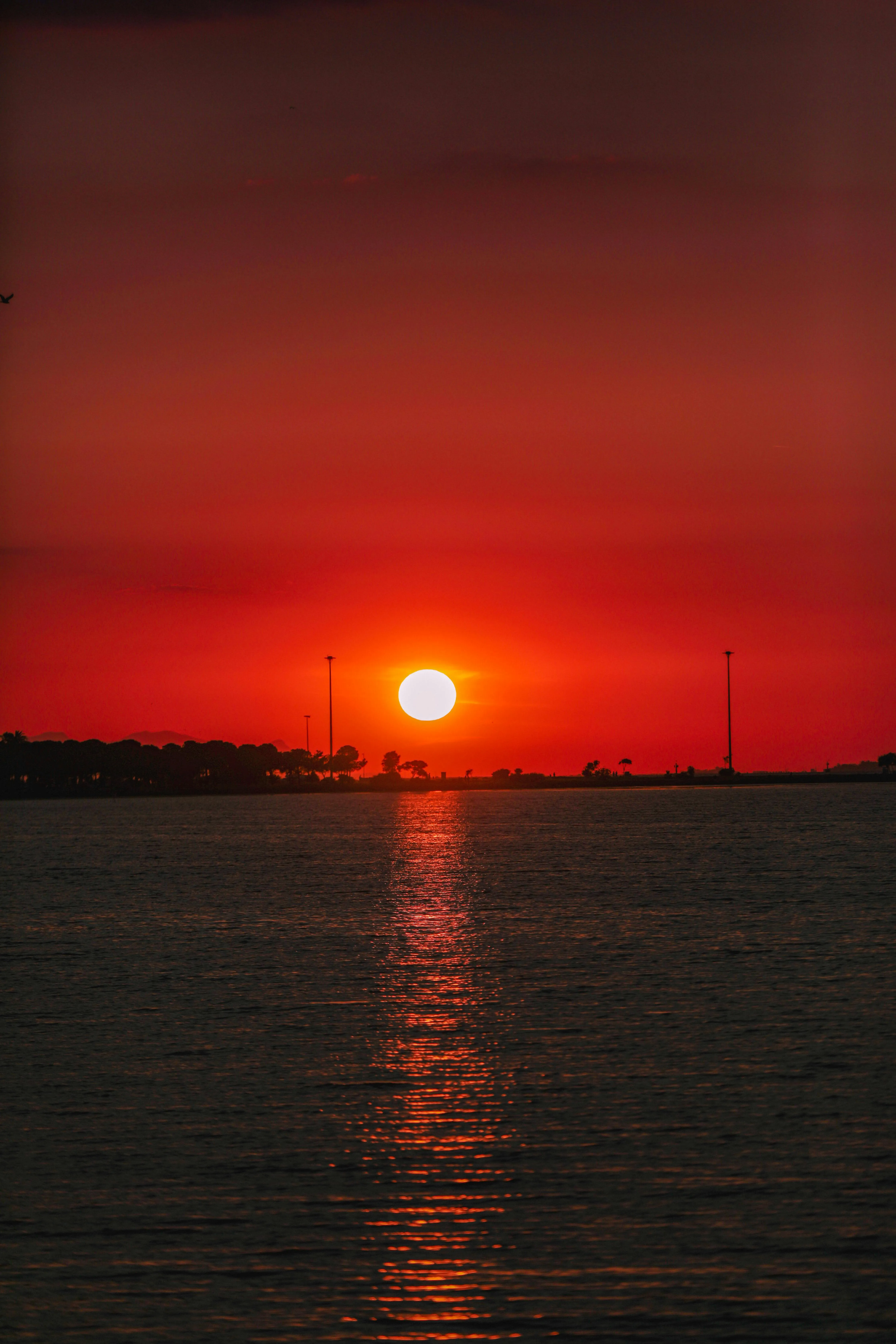 Red Sky over Water at Sunset · Free