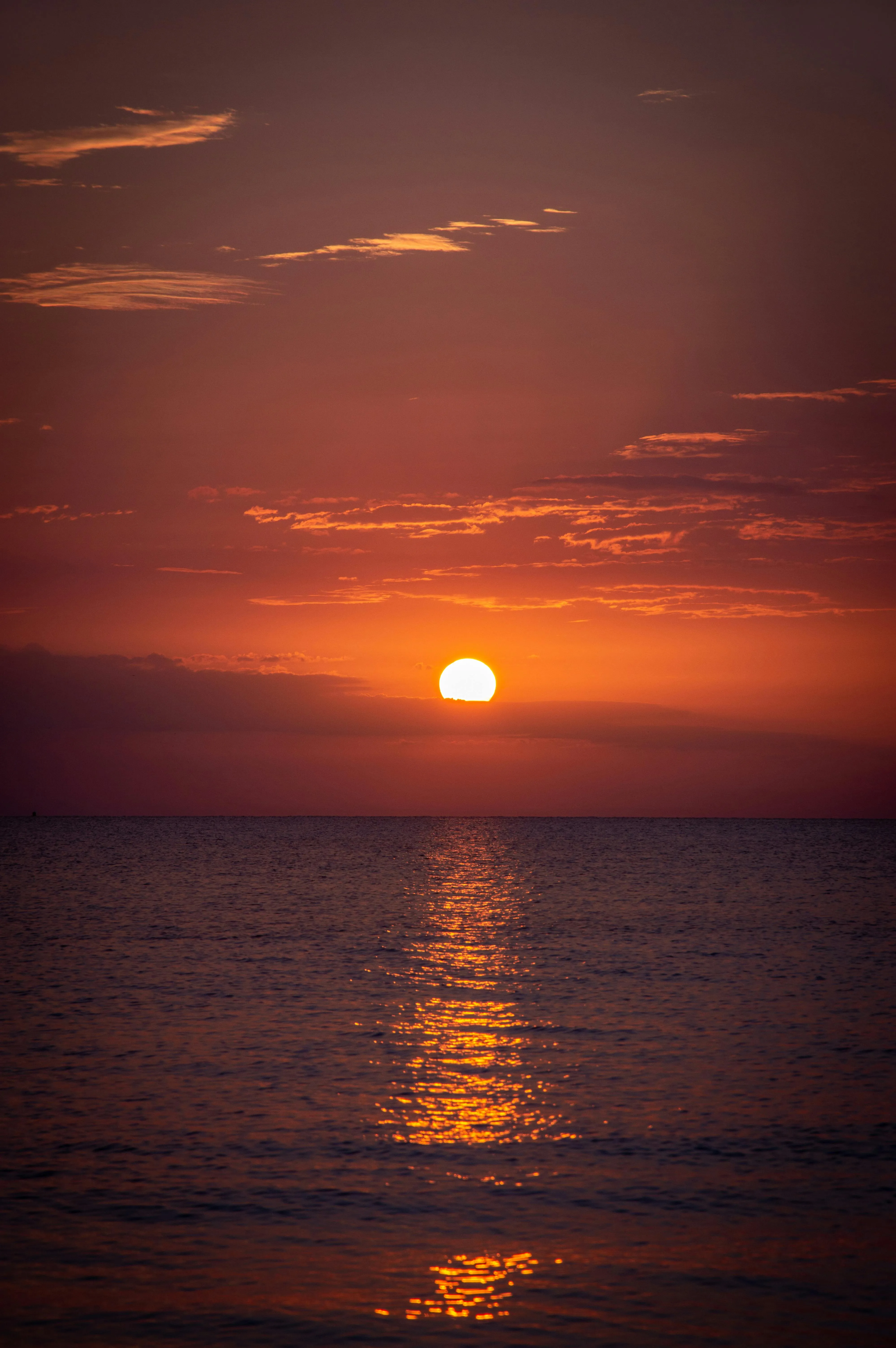 Red Sky at Sunset over Sea Shore · Free
