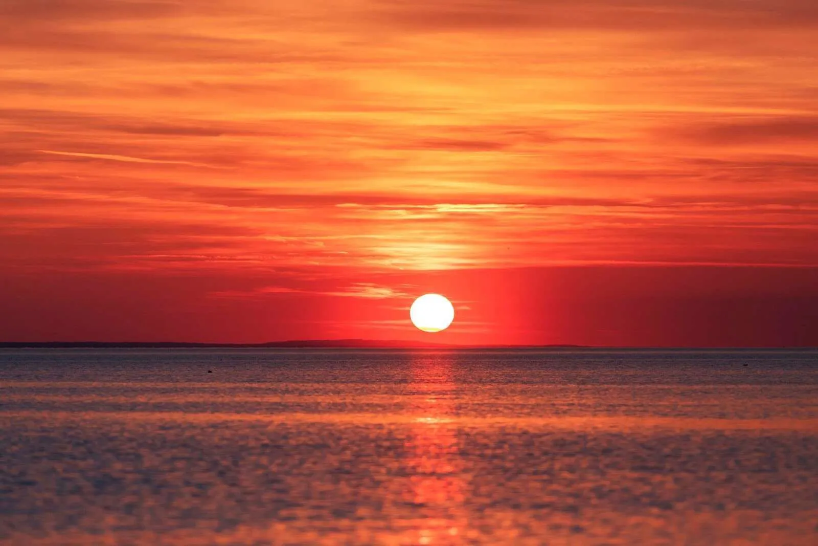Wallpaper Mural red sunset over calm sea