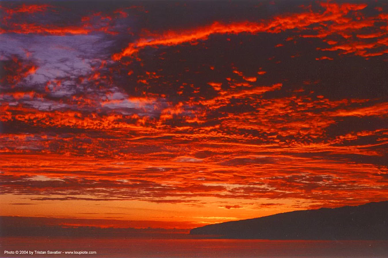 Red Sunset Sky over the Ocean