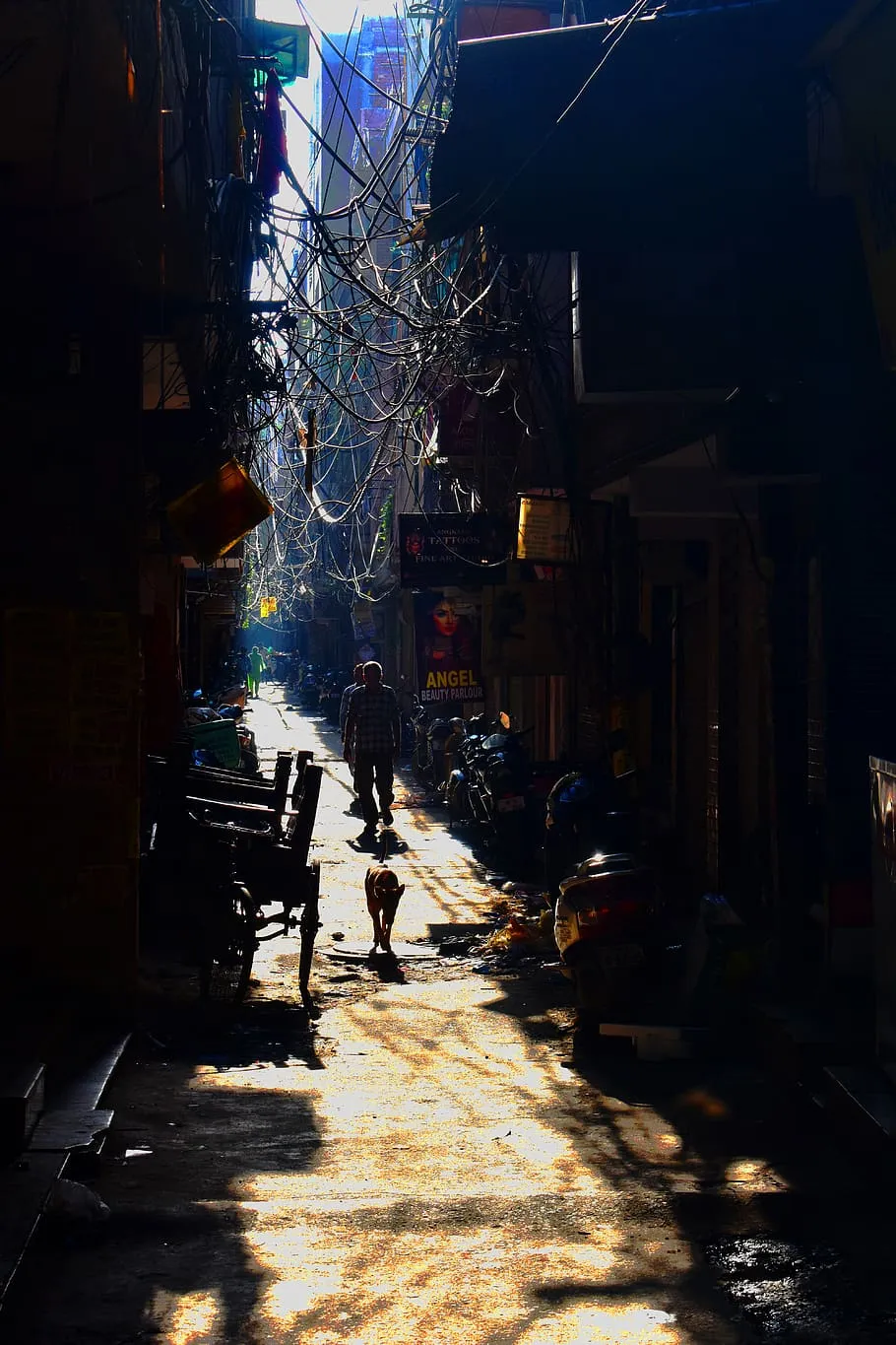 india, new delhi, morning street, mobile wallpaper, street photography, street, delhi, busy street