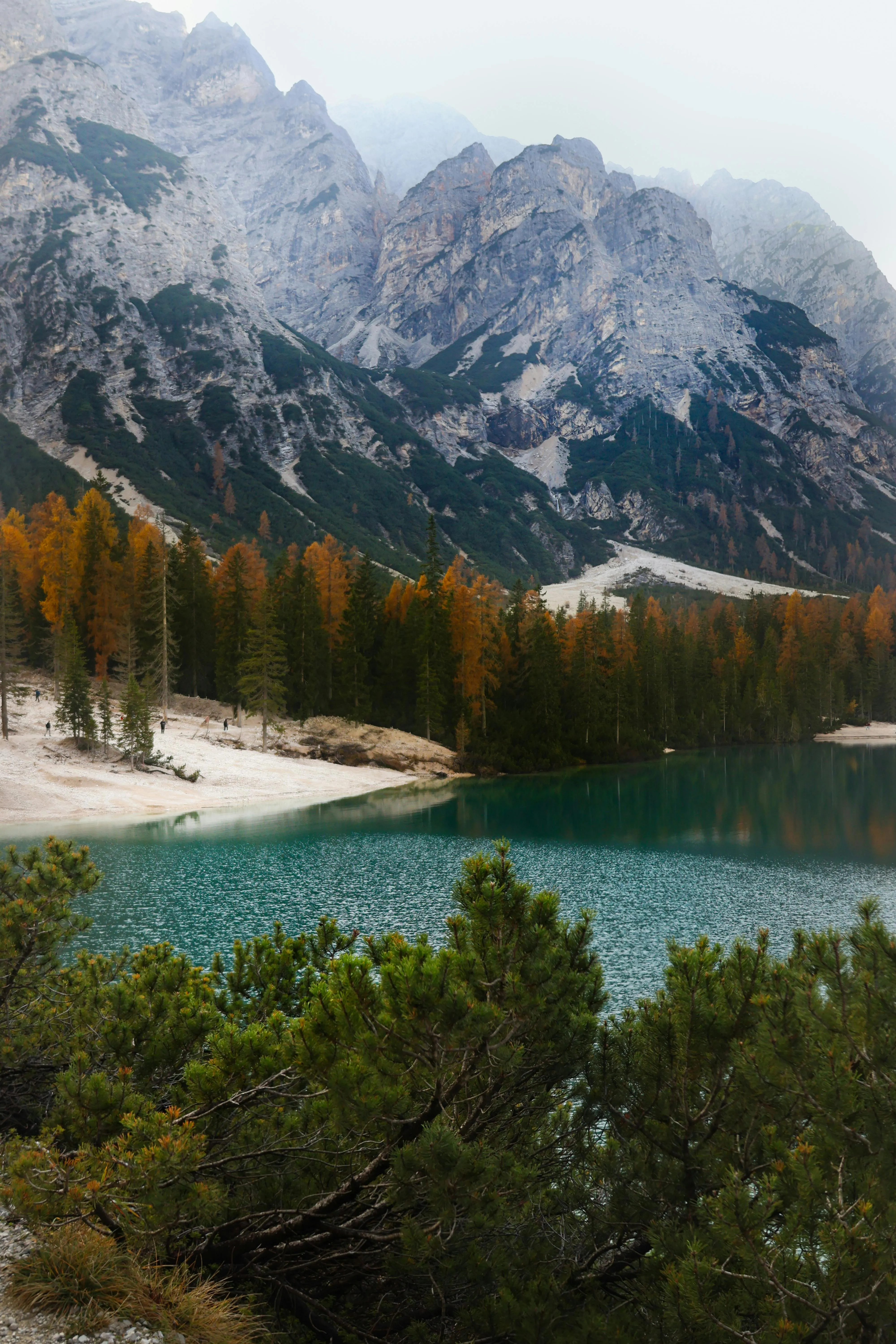 Tranquil Lake in the Dolomites of Italy · Free