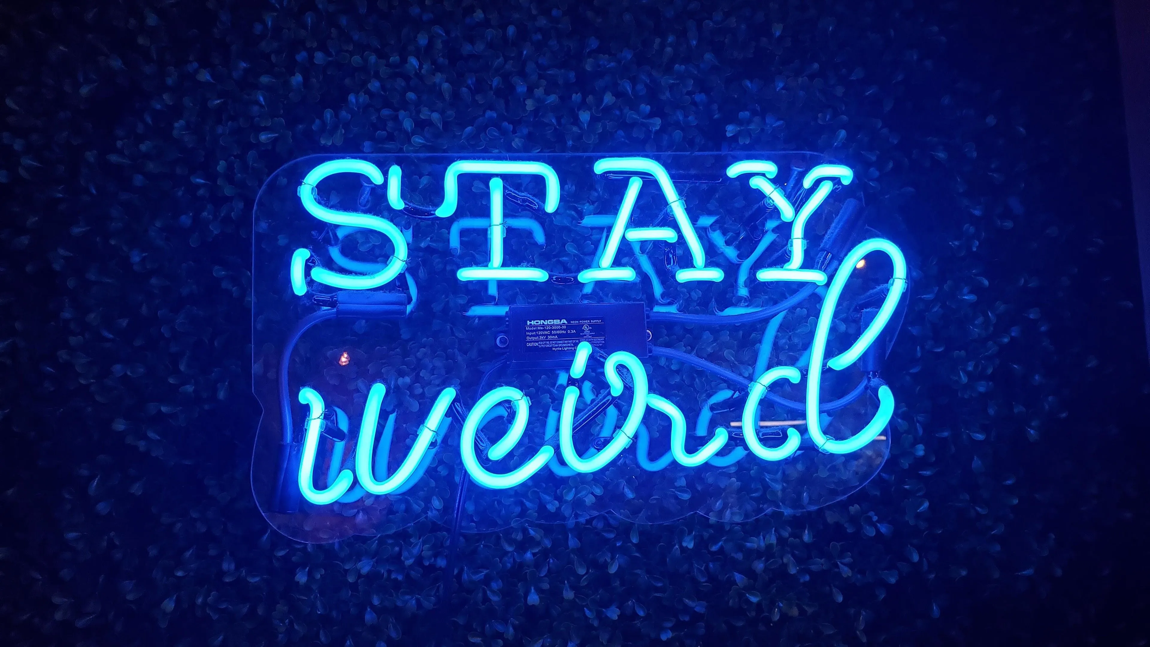 Blue Neon Sign 4K HD Neon Wallpaper