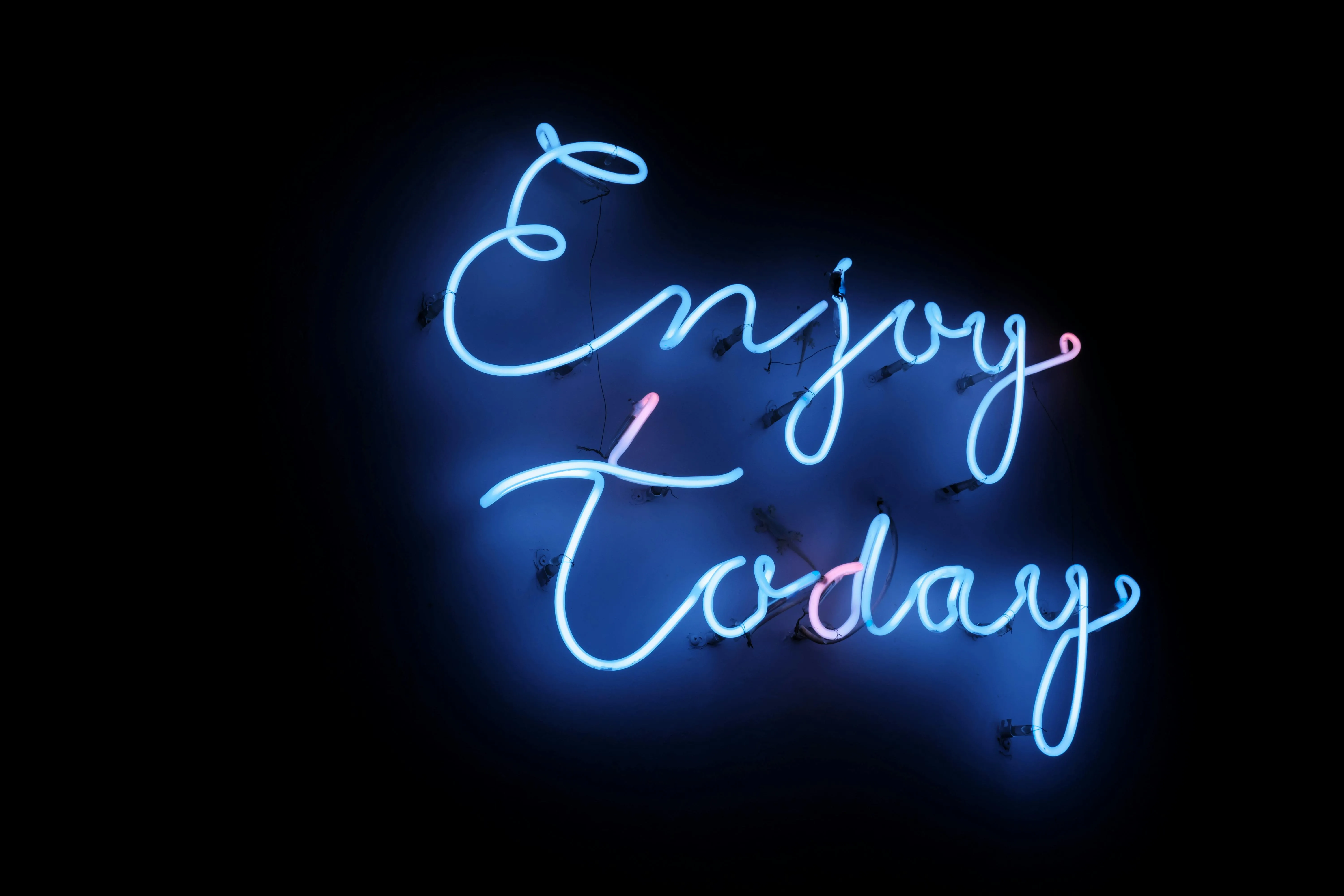 Enjoy Today Neon Signage · Free