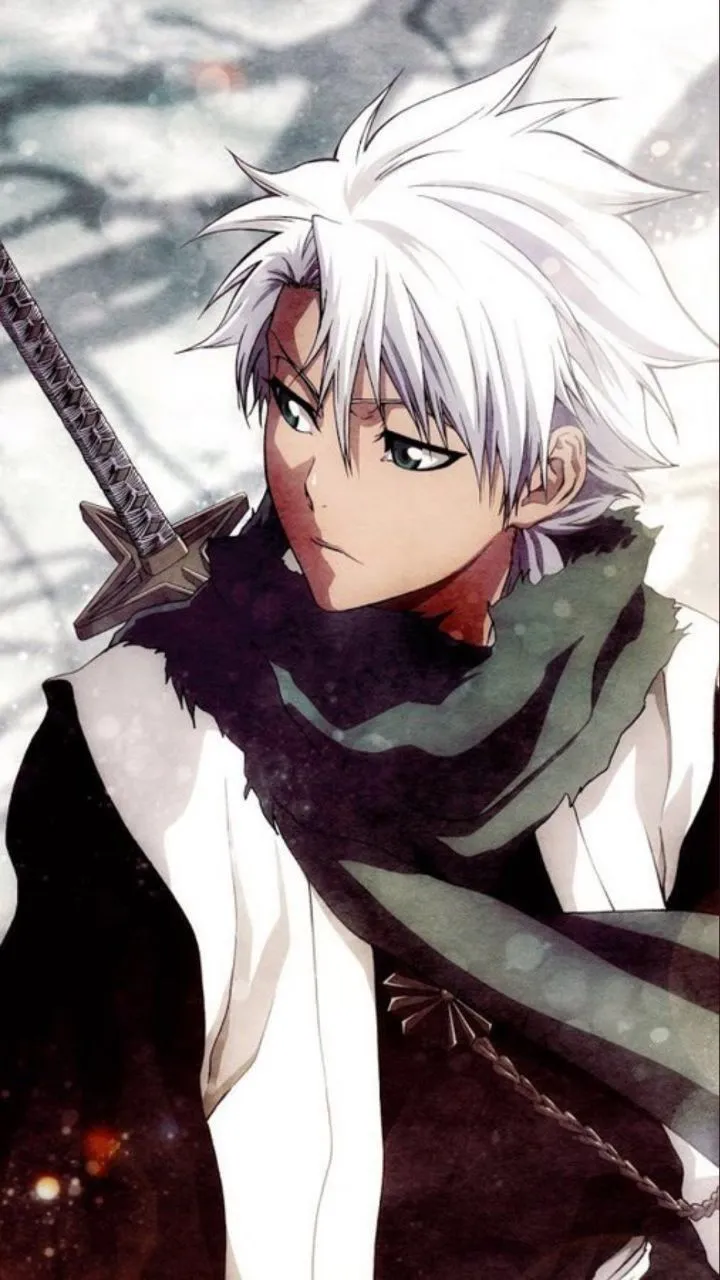 Hitsugaya Toshiro Bleach