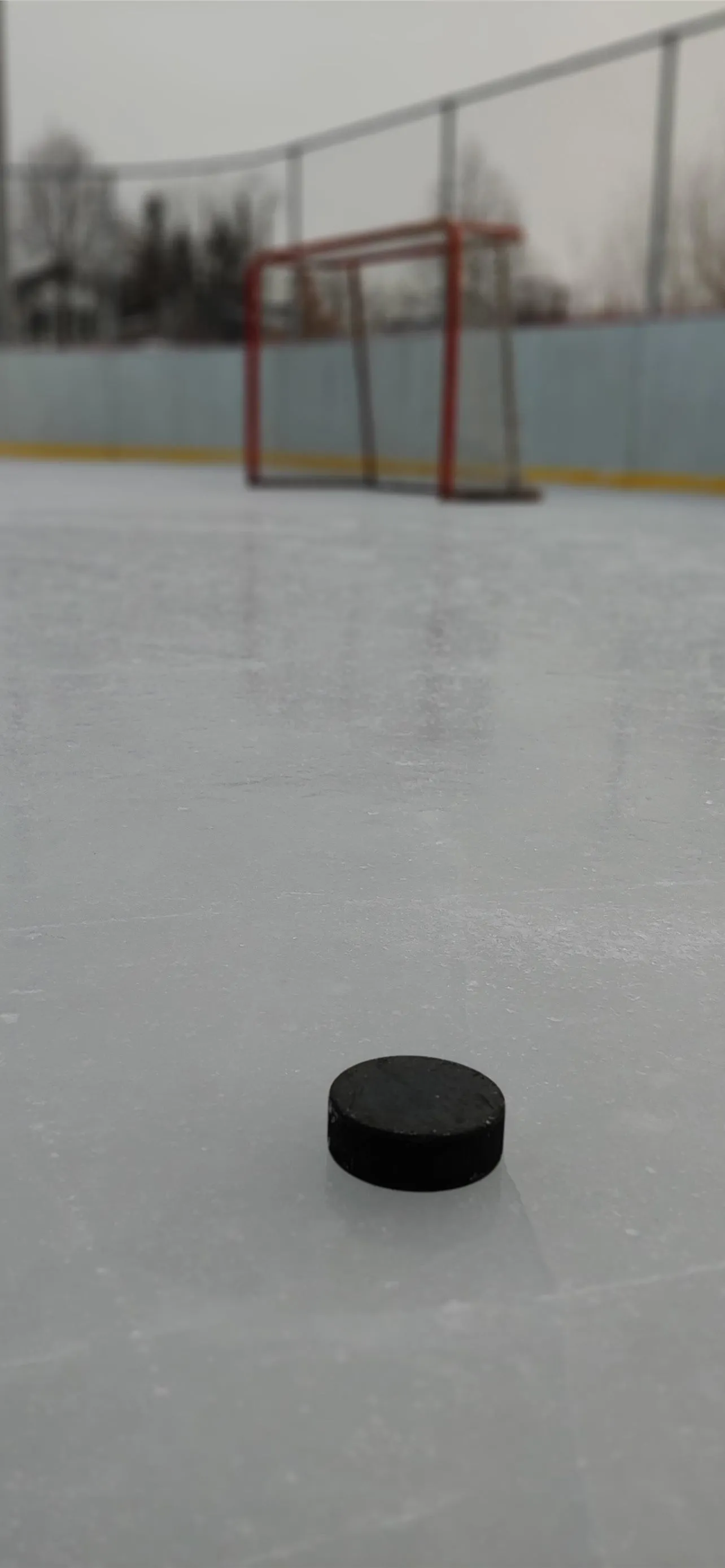 field hockey iPhone Wallpaper Free Download