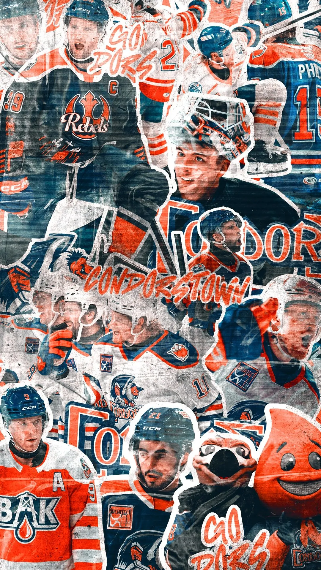 Condors Wallpaper