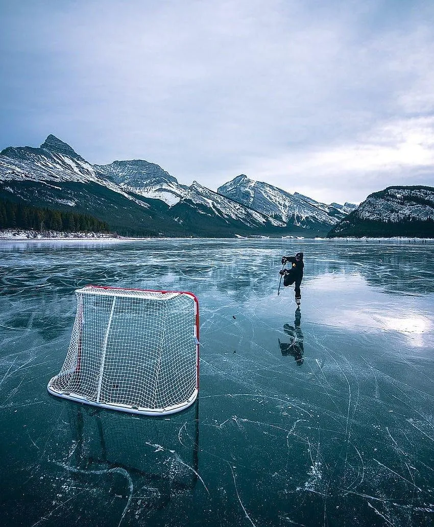 IPhone Hockey, NHL HD phone wallpaper