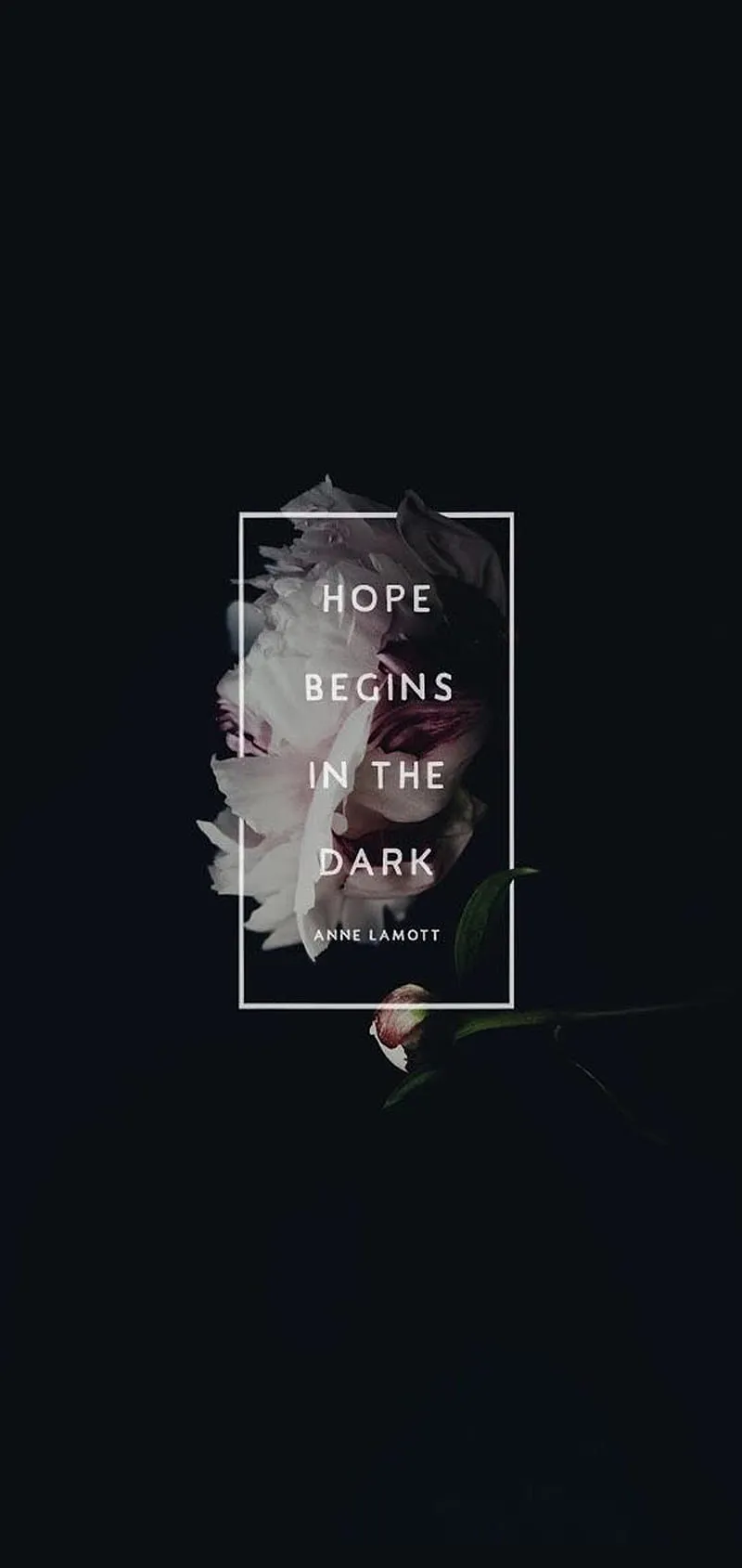 HOPE IN DARK, 2019, hope begin, love, quote, saying, HD phone wallpaper