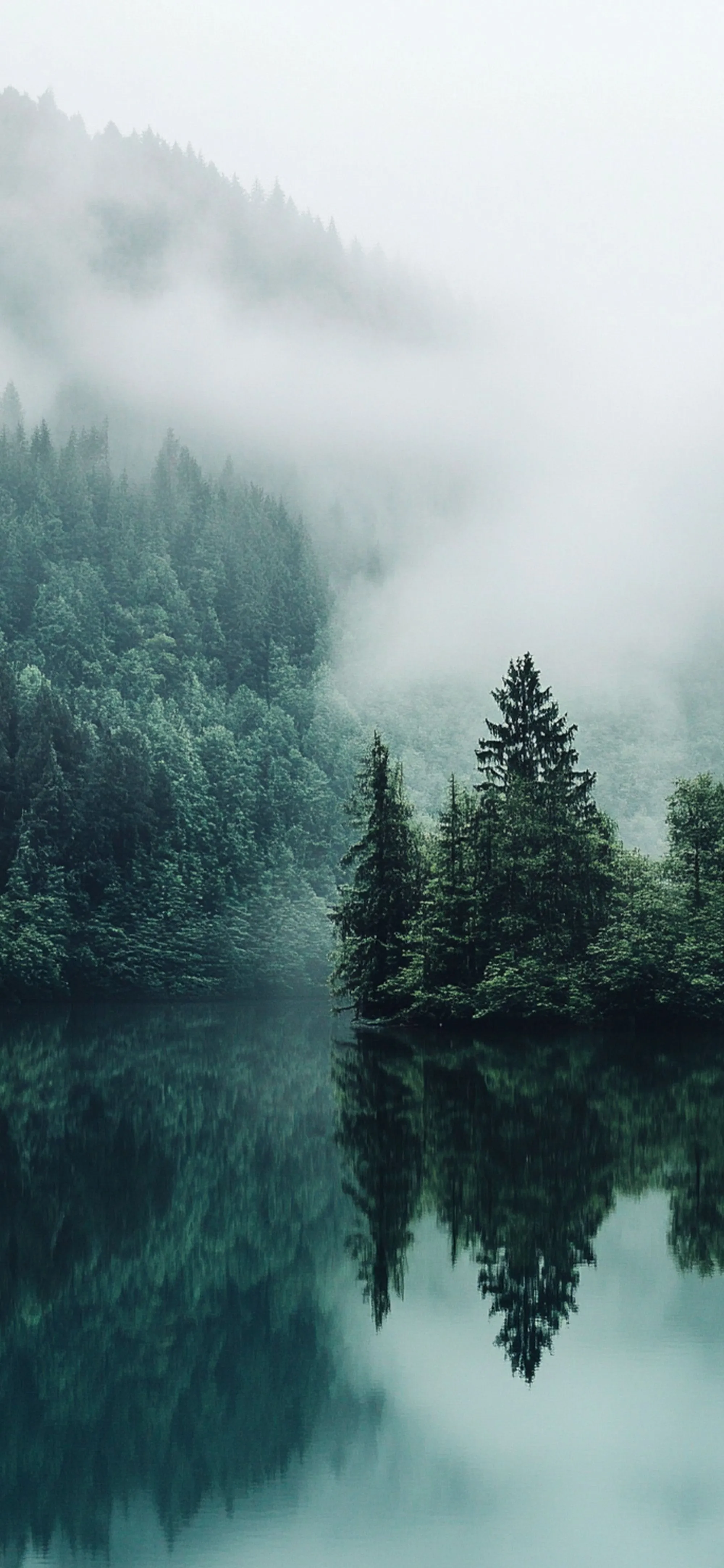 Misty Mountain Forest Raflectio Wallpaper Nature Wallpaper