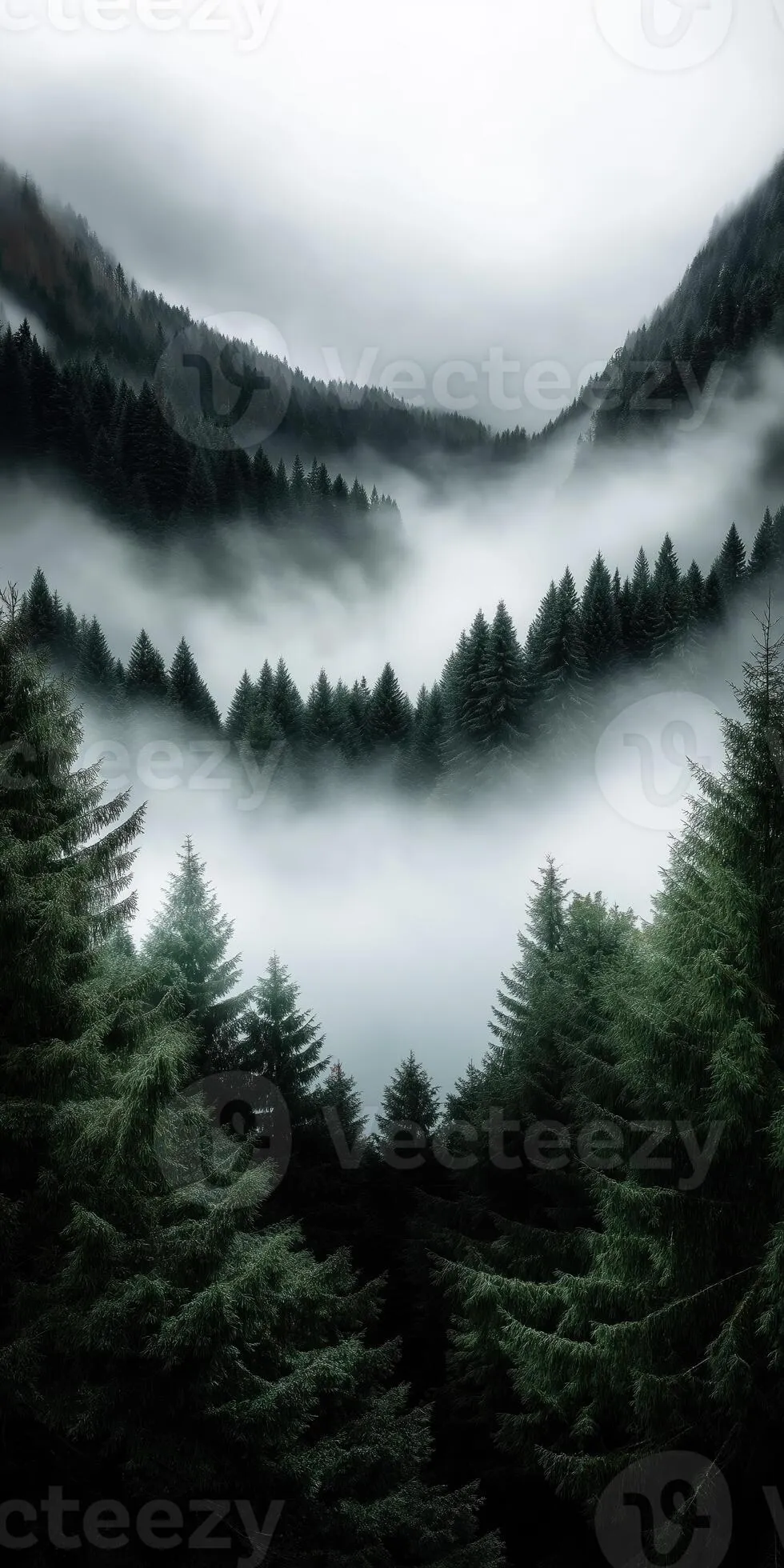 Serene misty forest with pine trees and mountain peaks shrouded in fog for mobile wallpaper
