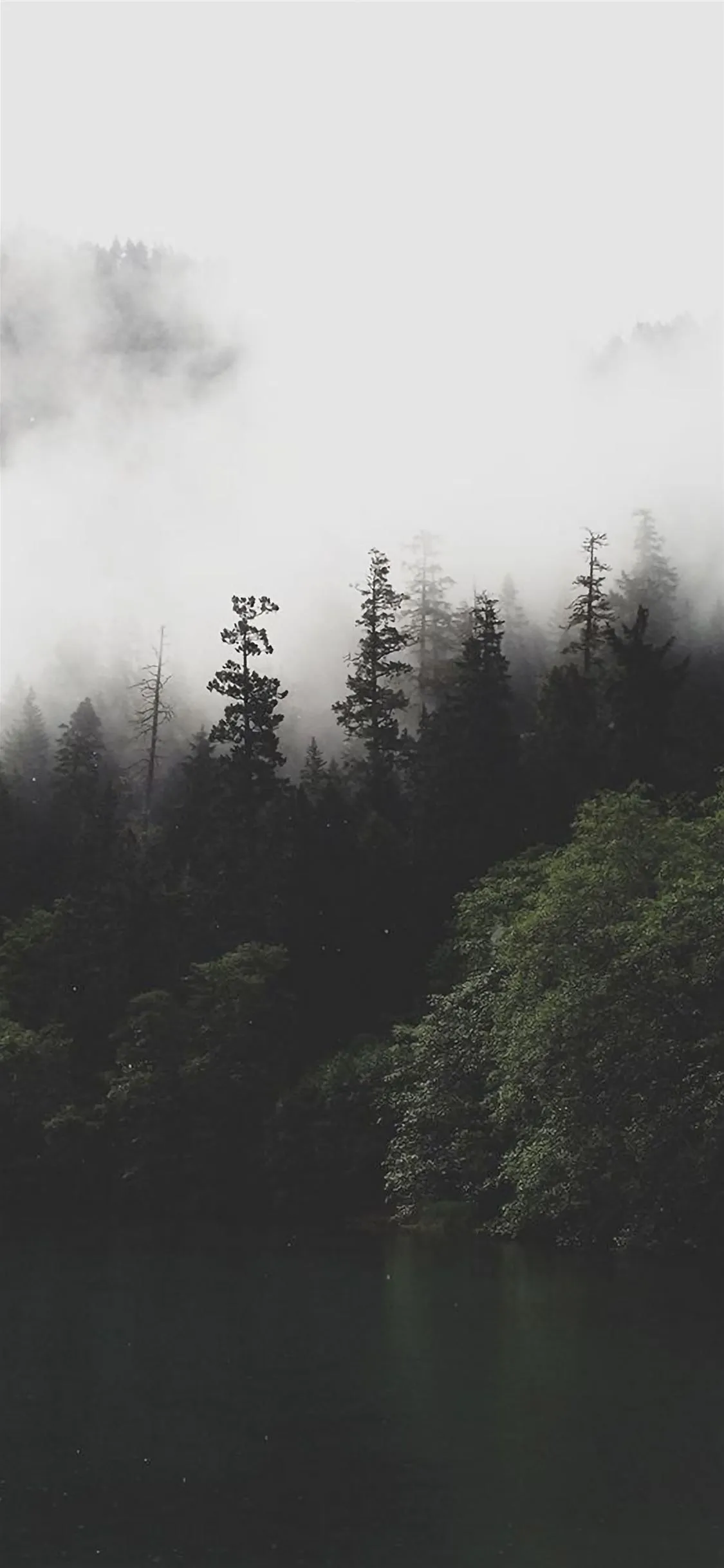 Mountain Forest Lake Misty iPhone Wallpaper Free Download
